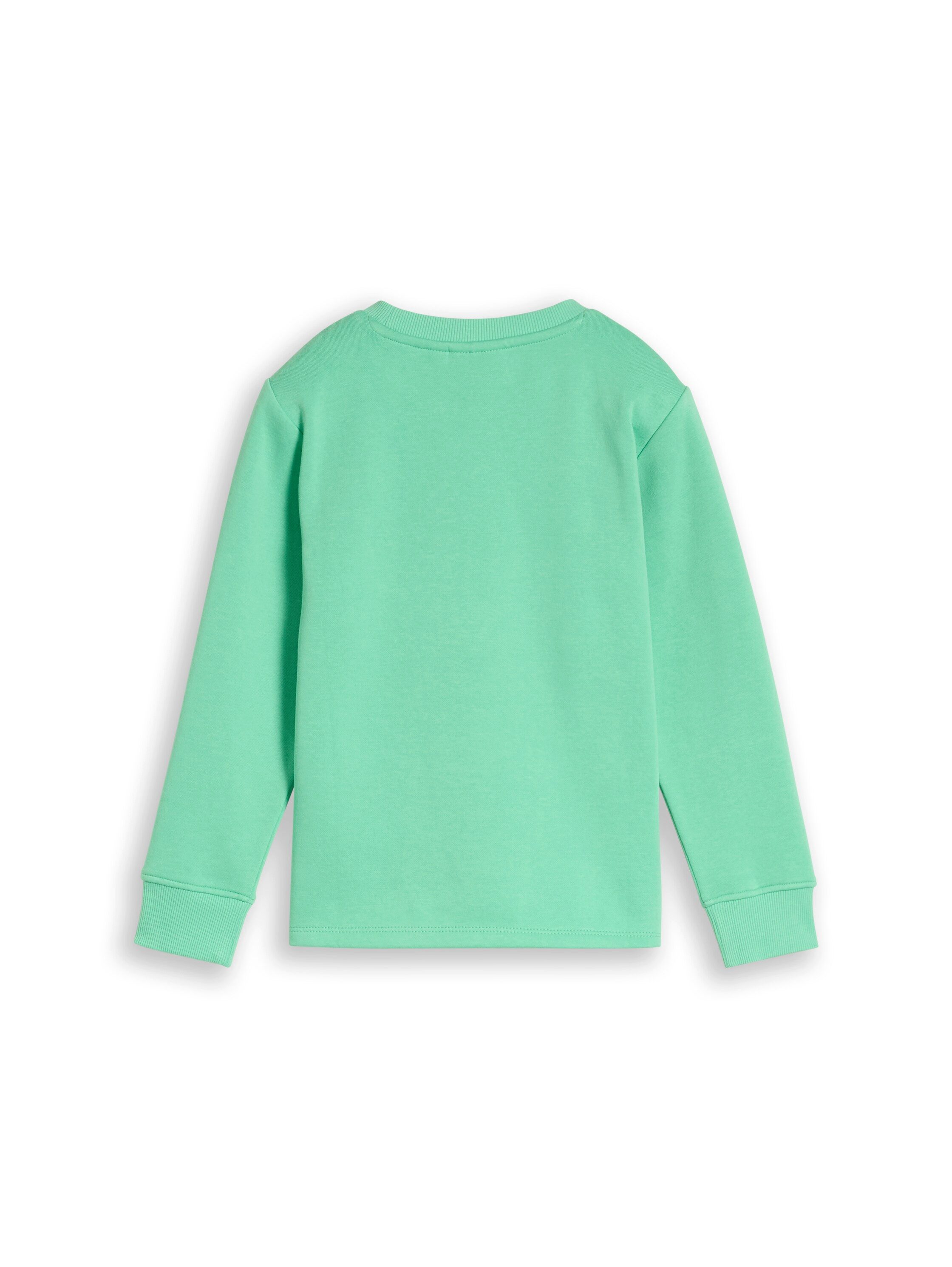 TOM TAILOR Sweater mit Frontprint / Rundhals / für Kids – Bild 2 von 3