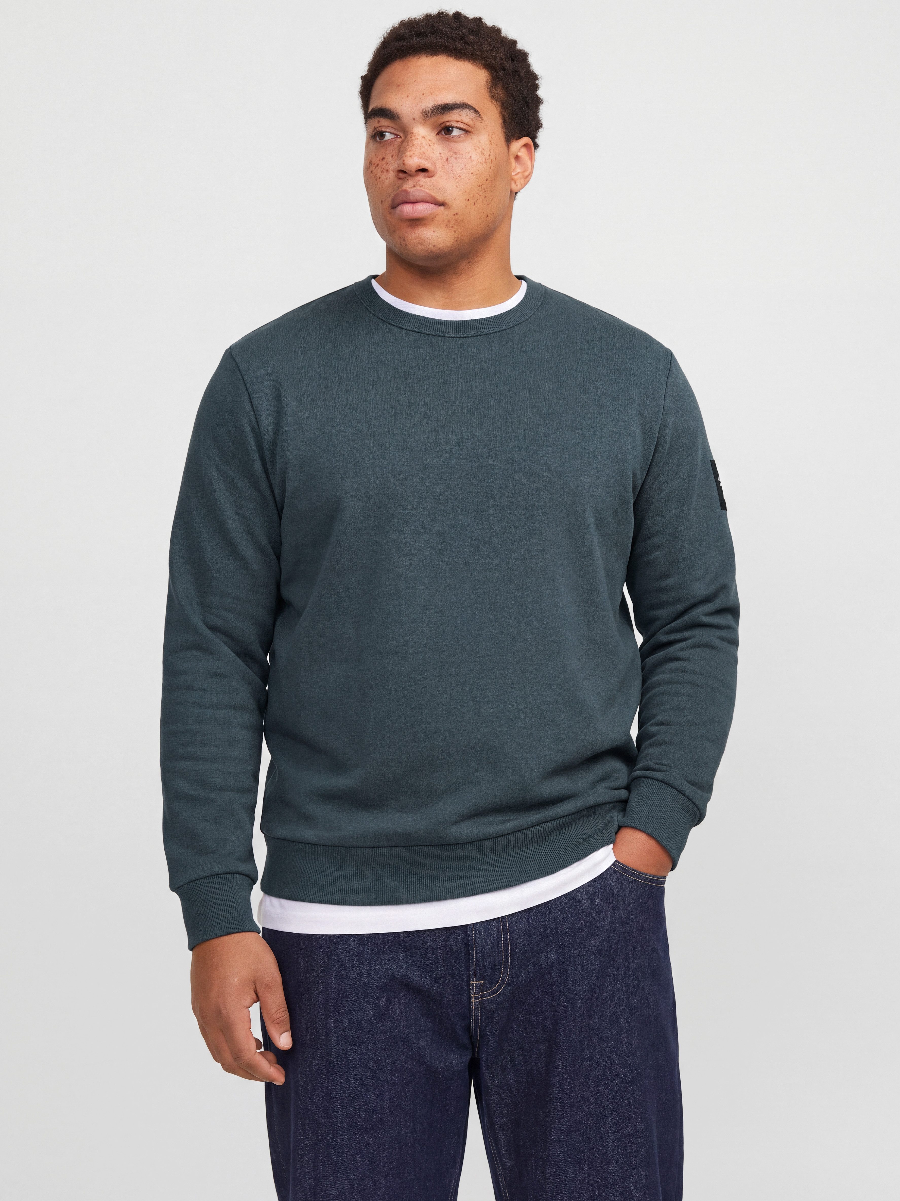 Jack & Jones PlusSize Sweatshirt JJCLEVELAND SWEAT CREW NECK PLS Materialmix, regular fit