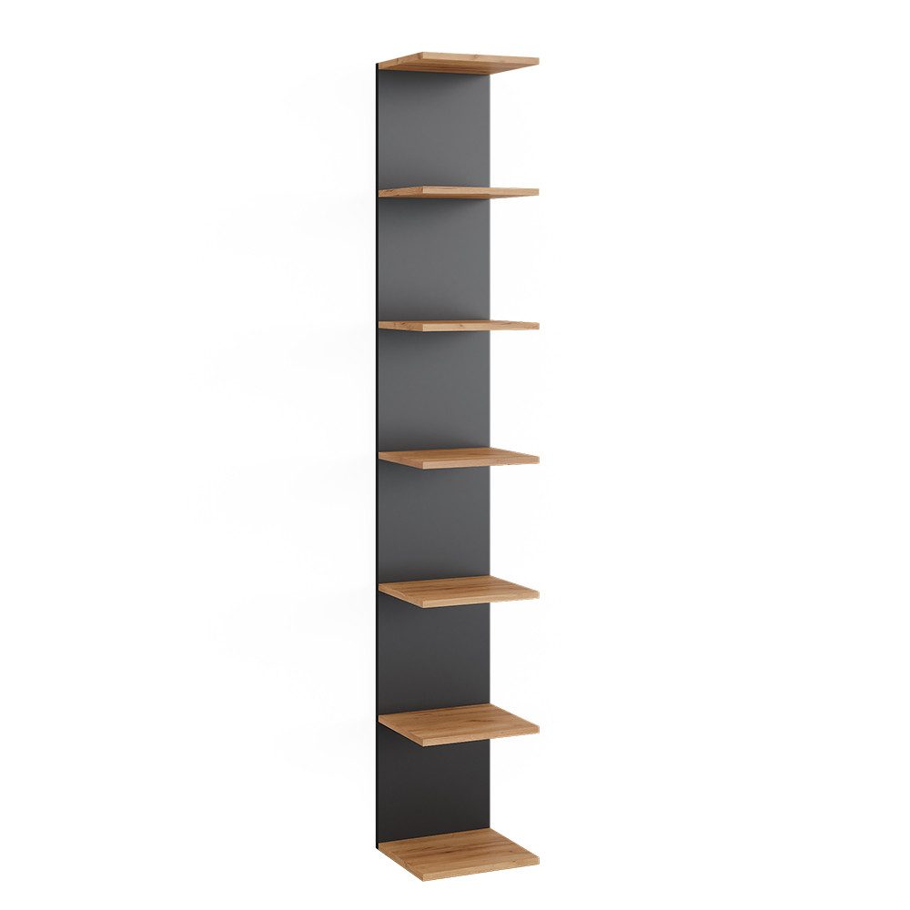 Vicco Bücherregal Paolo, Anthrazit/Goldkraft Eiche, 30 x 190 cm, 1-tlg.