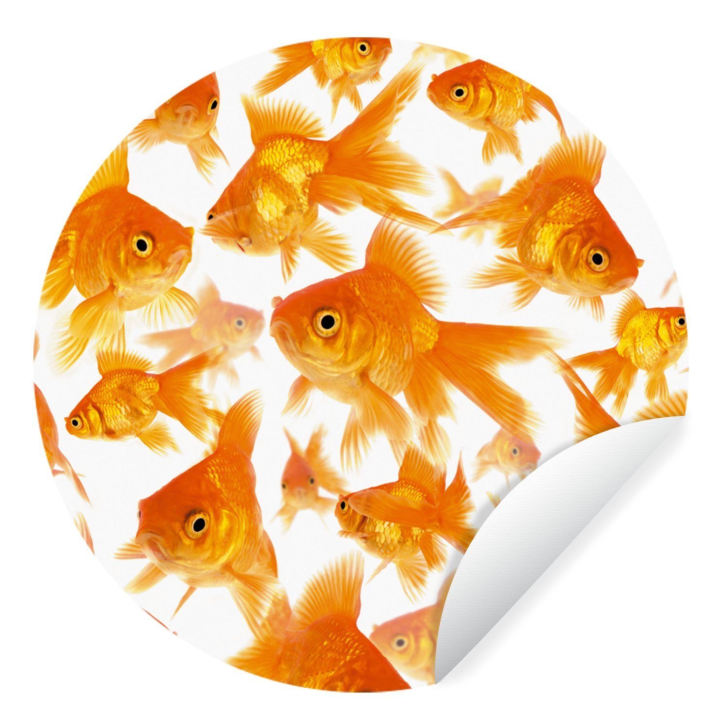 MuchoWow Wandsticker Goldfisch - Weiß - Fisch (1 St), Tapetenkreis für Kinderzimmer, Tapetenaufkleber, Rund, Wohnzimmer