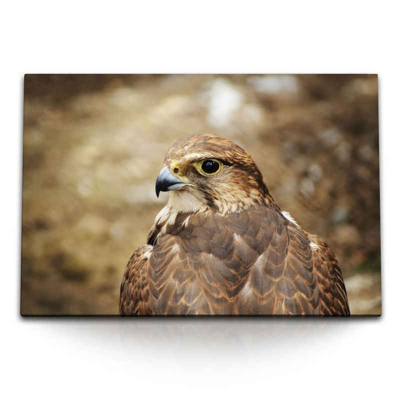 Sinus Art Leinwandbild 120x80cm Wandbild auf Leinwand Falke Falkenjagd Vogel Tierfotografie N, (1 St)