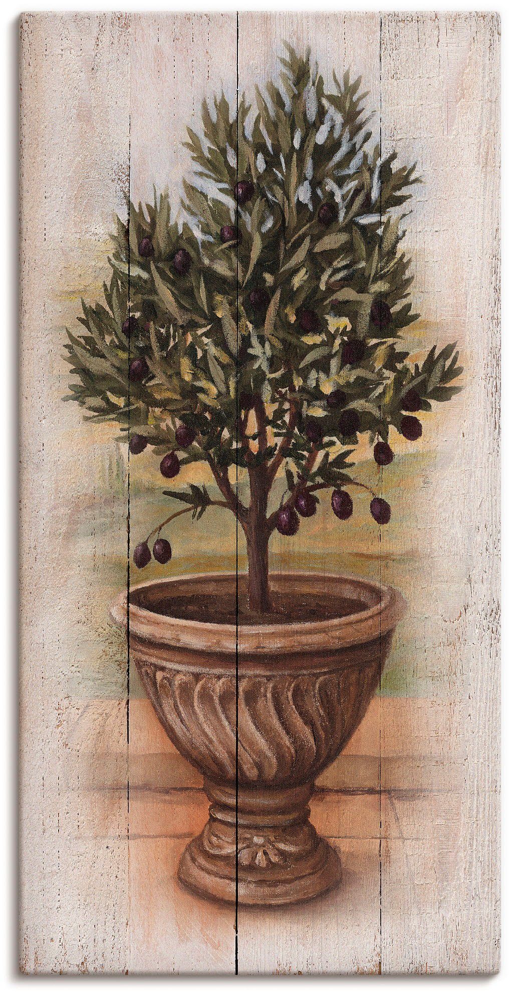 Leinwandbild Olivenbaum mit Holzoptik