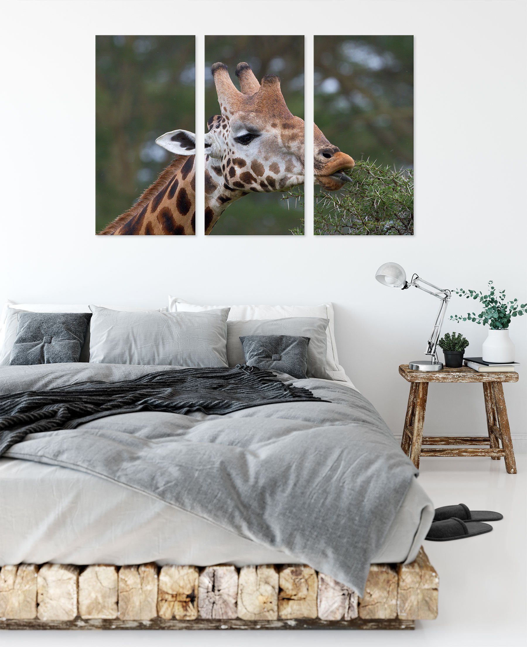 Zackenaufhänger 3Teiler schöne Pixxprint bespannt, St), Fressen, Leinwandbild Leinwandbild (1 beim Giraffe schöne Fressen Giraffe inkl. beim fertig (120x80cm)
