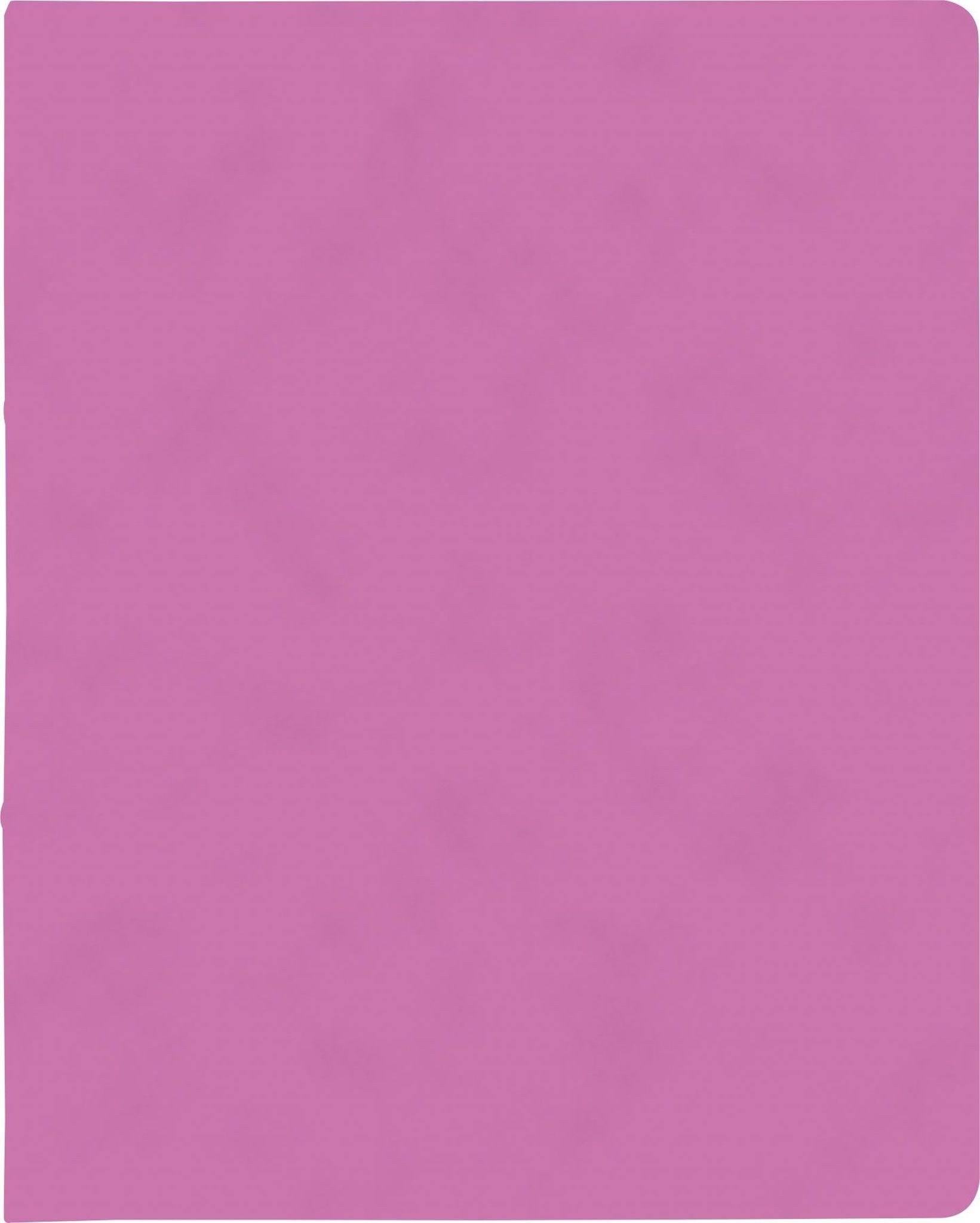 Ringbuchmappe BRUNNEN Ringbuch A4 FACT!plus 2-Ringe 15mm pink 106550922