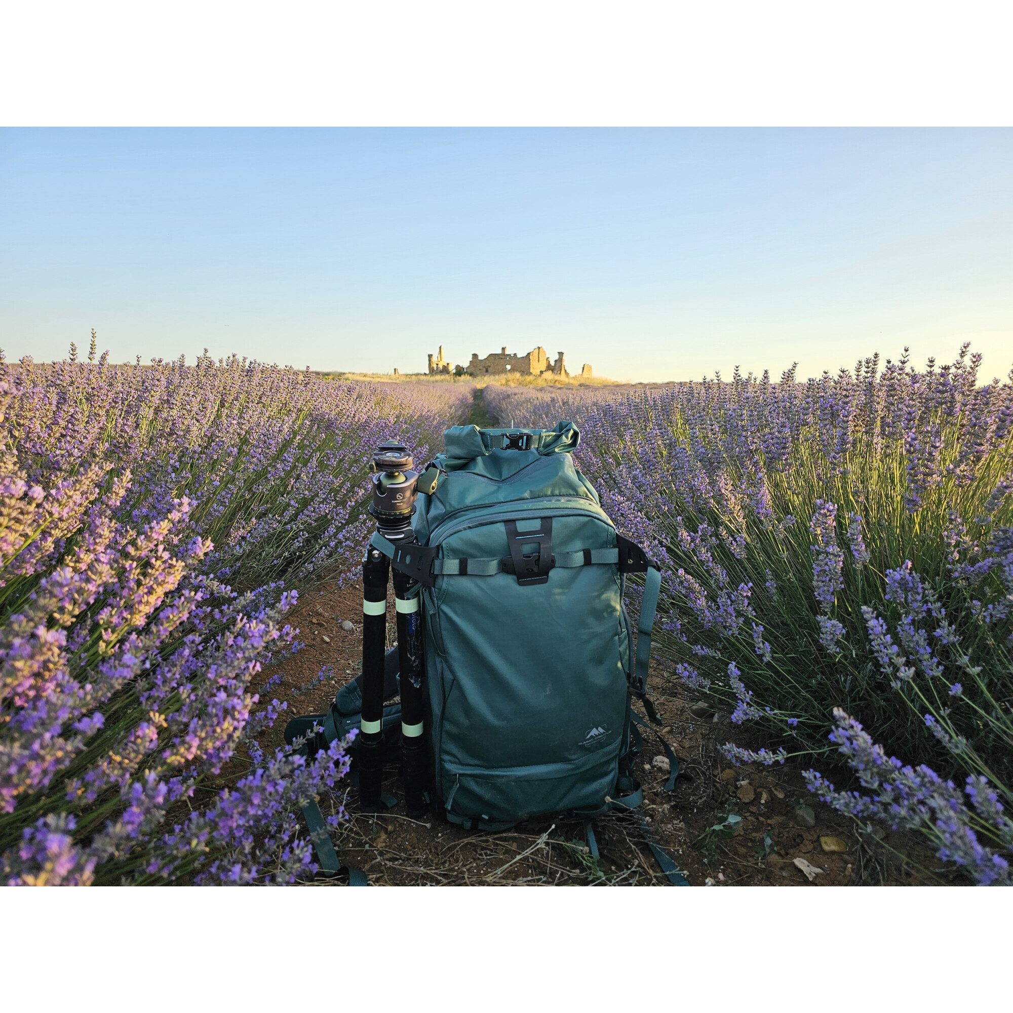 Summit Trekkingrucksack Summit-Creative Tenzing Rolltop Backpack 30l green