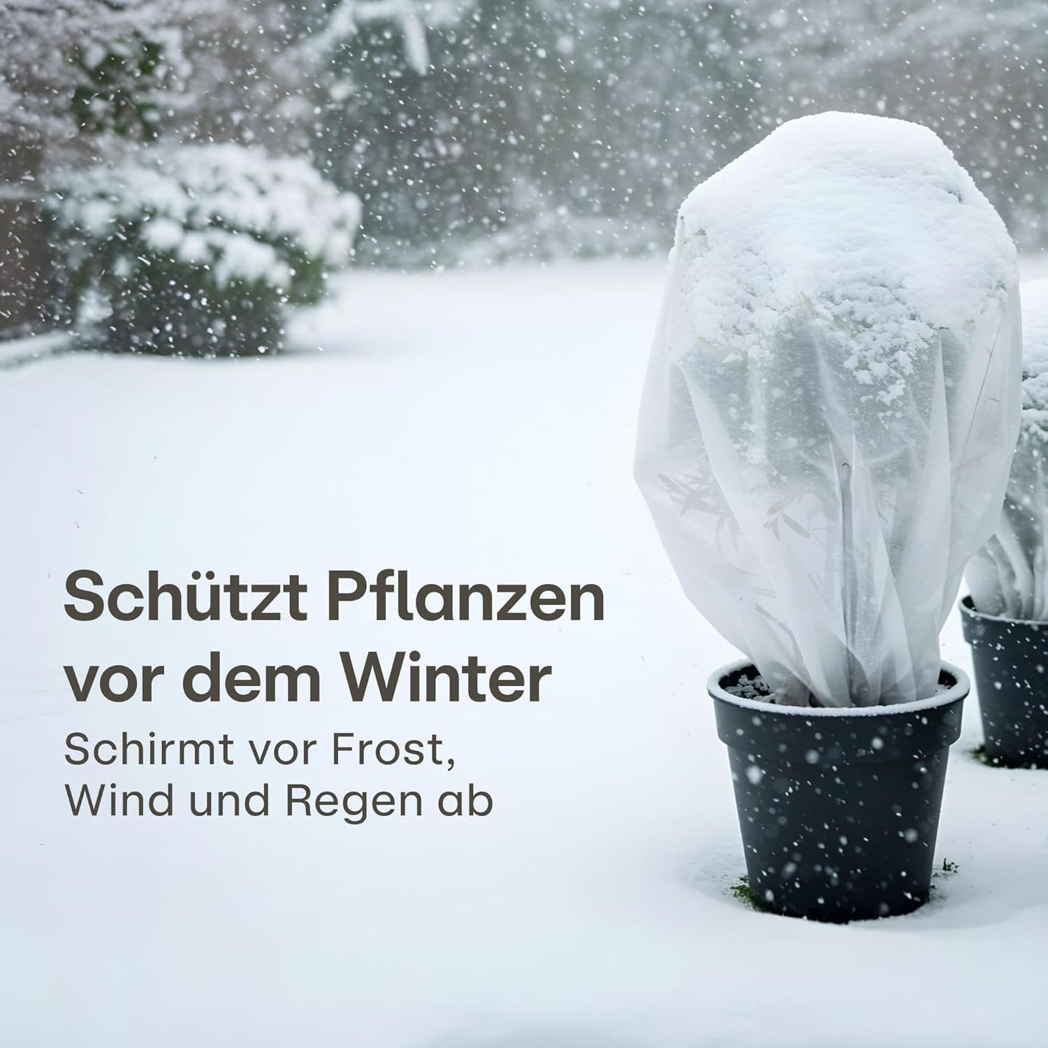 Praknu Wintervlies Wintervlies für Pflanzen Frostschutz 50g/m² - 50m × 1m a günstig online kaufen