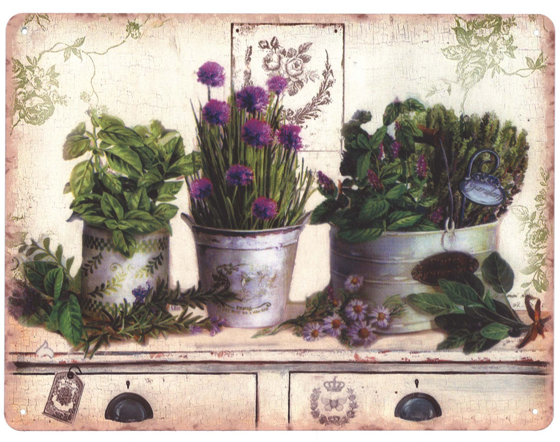 Moritz Metallschild Blechschild Pflanzen und Blumen in Töpfe, 25 x 33 cm Vintage Retro Deko Schild Metallschild Wandbild Schild