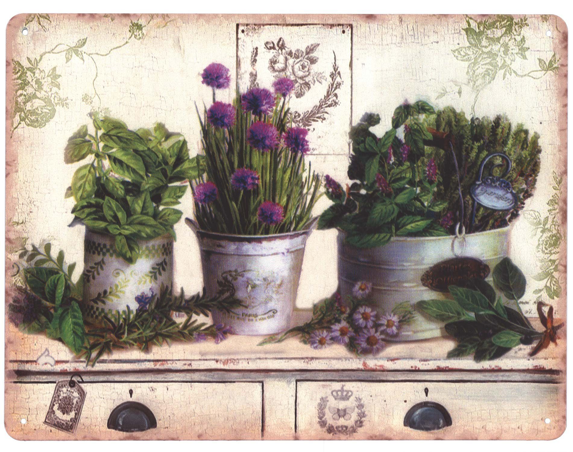 Metallschild Blechschild Pflanzen und Blumen in Töpfe