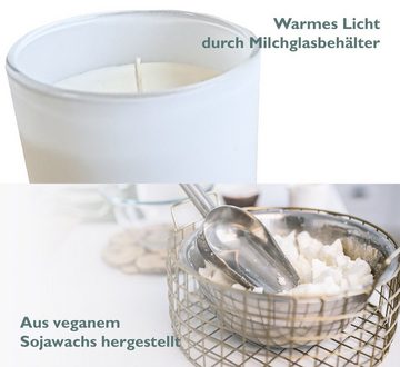 Alcube Duftkerze Lavendel & Geranium, aus 100% veganem Sojawachs - Duftmomemte für Zuhause