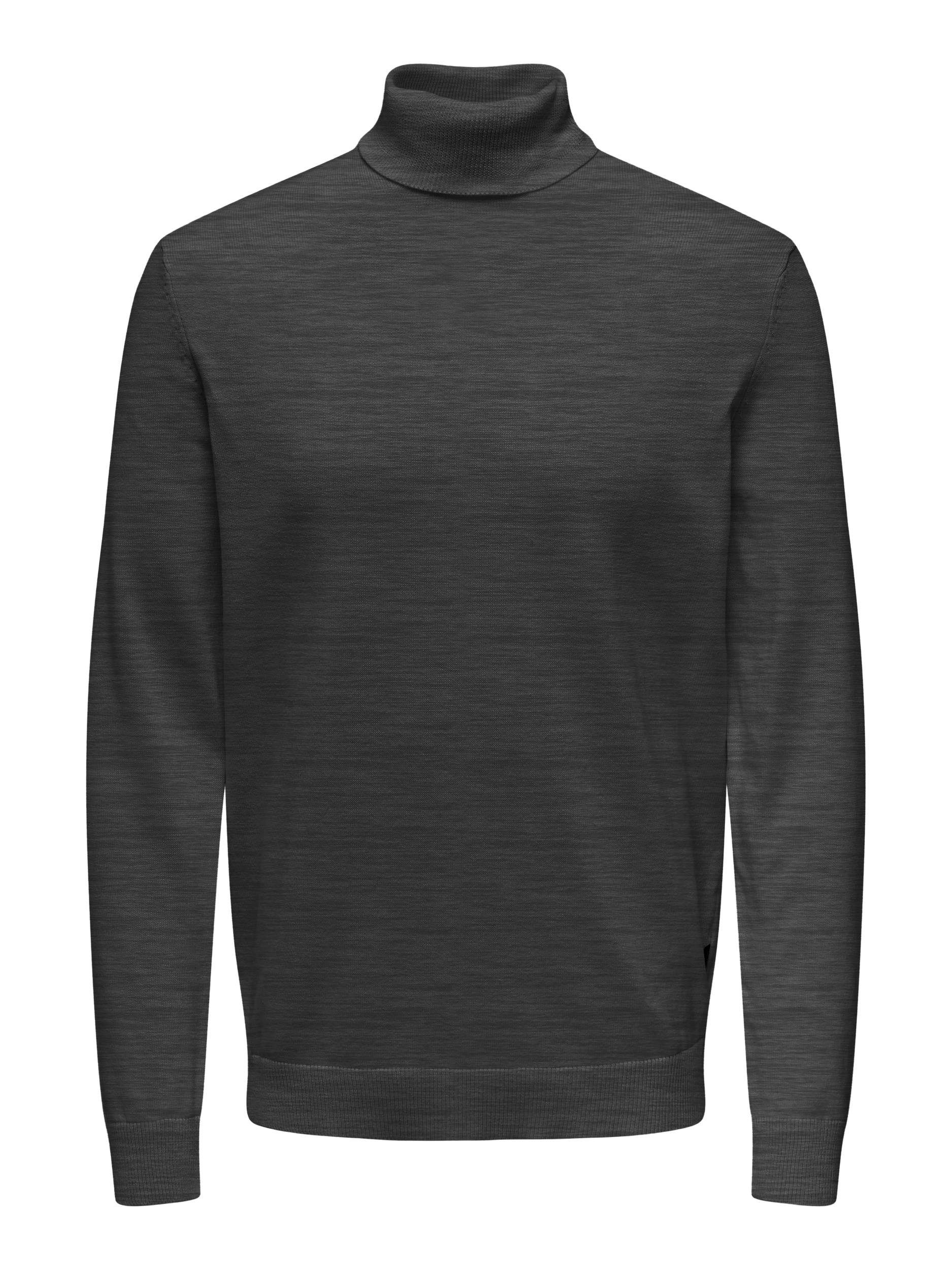 ONLY & SONS Rollkragenpullover ONSALEX REG günstig online kaufen