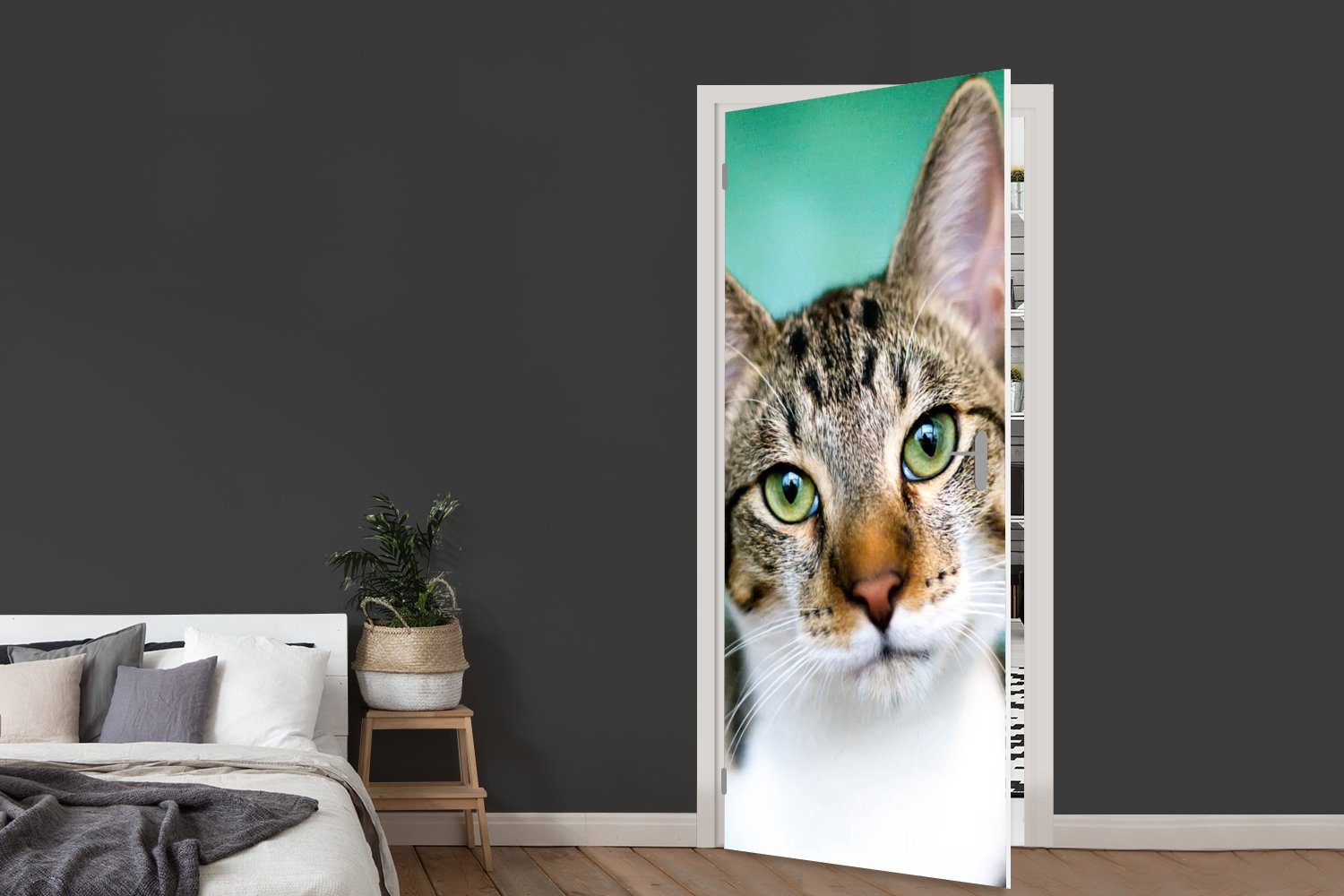 MuchoWow Türtapete Katze St), Matt, (1 75x205 bedruckt, - Porträt - Augen, cm für Tür, Fototapete Türaufkleber