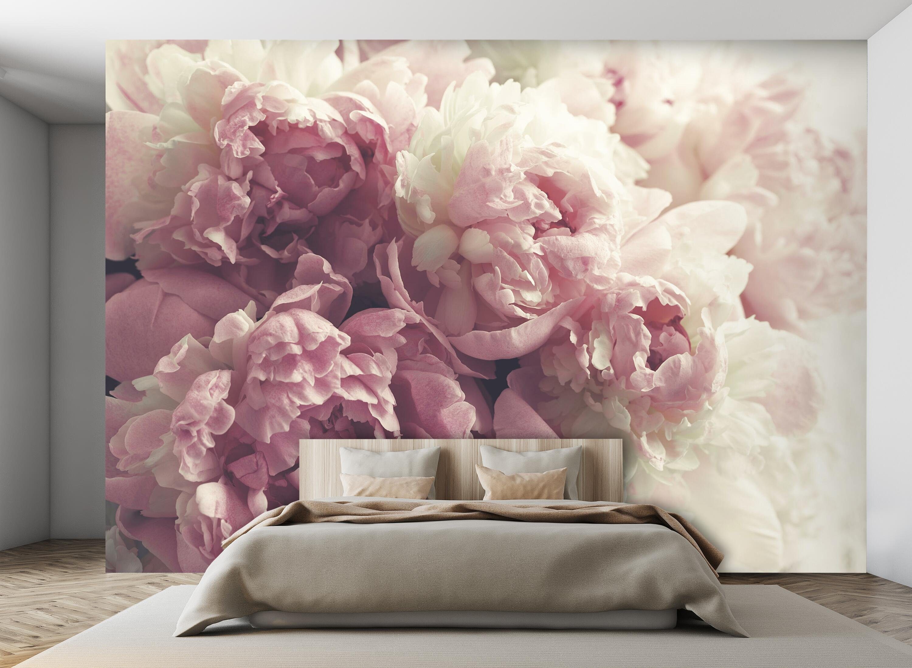 Wandtapete, Rose Vliestapete rosa, glatt, Fototapete Vintage wandmotiv24 Motivtapete, matt,