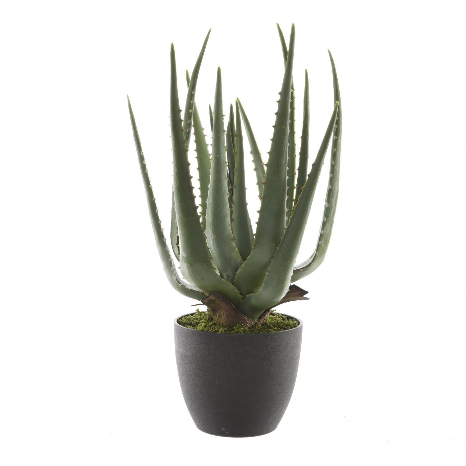 Kunstpflanze Künstliche Aloe Vera im Topf Kunstpflanze Zimmerpflanze H: 40cm