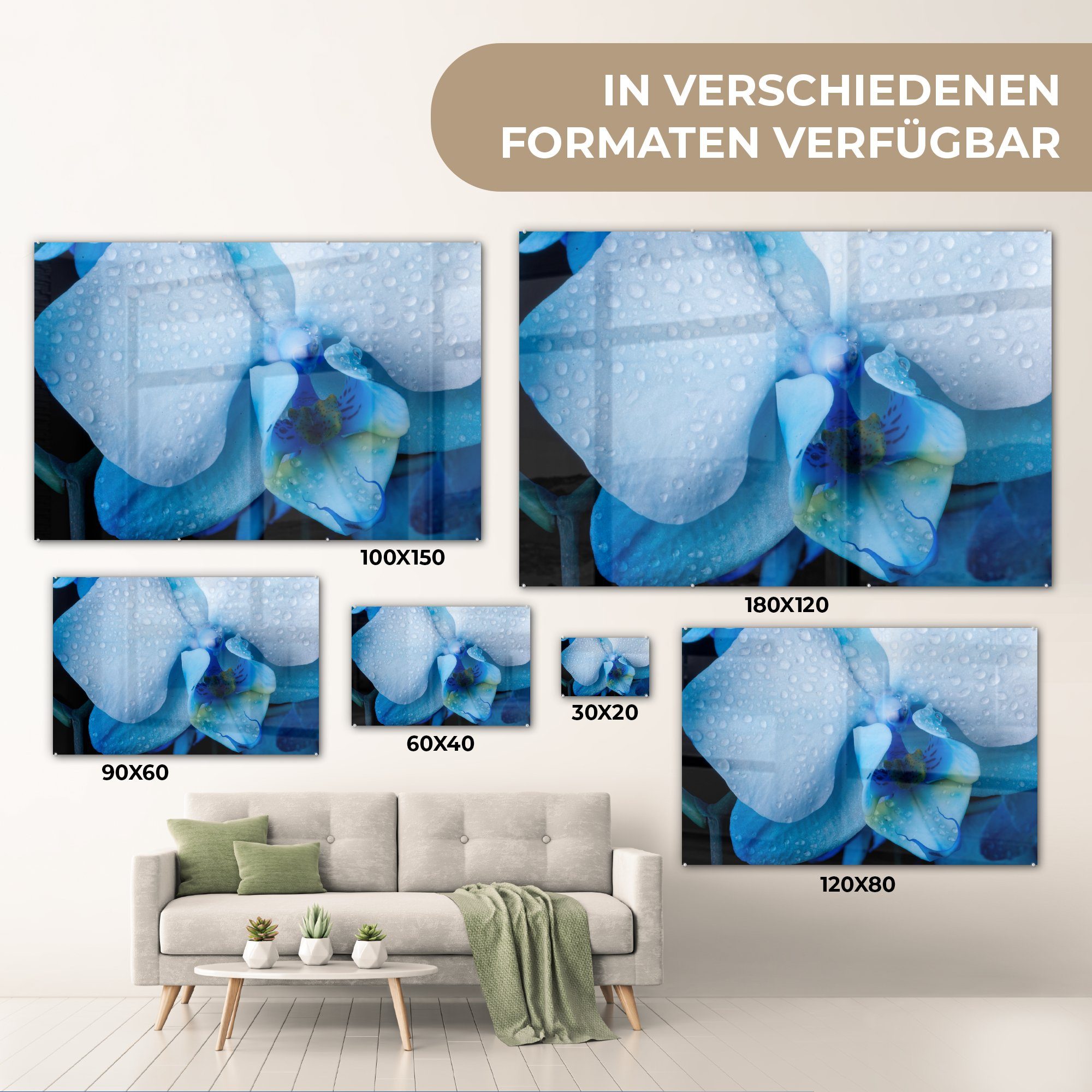 hellen & blauen St), (1 Nahaufnahme Acrylglasbild MuchoWow Blättern, Schlafzimmer mit einer Acrylglasbilder Orchidee Wohnzimmer