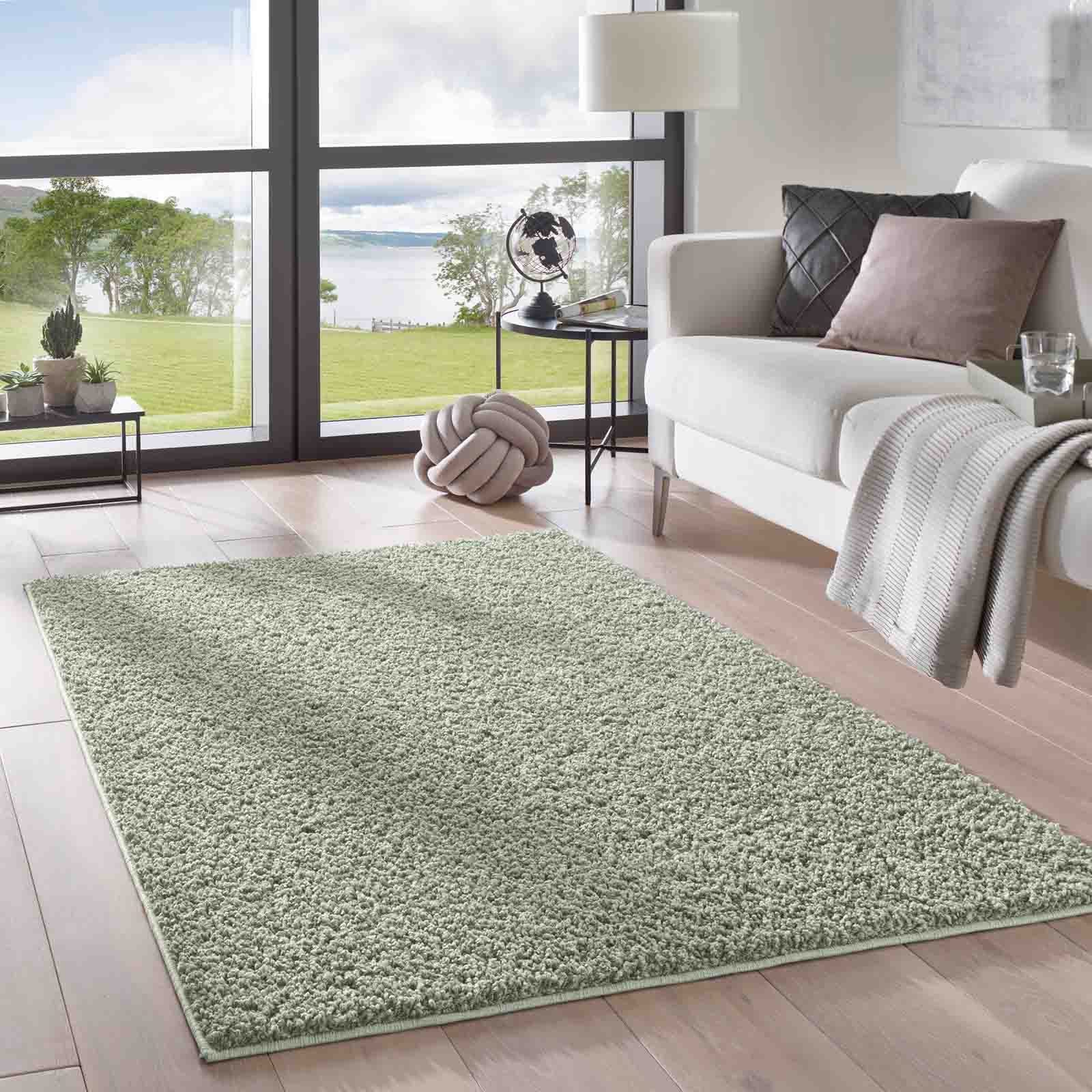 Langflor-Teppich Langflorteppich Sole 100% Polypropylen, TaraCarpet,  rechteckig, Höhe: 30 mm