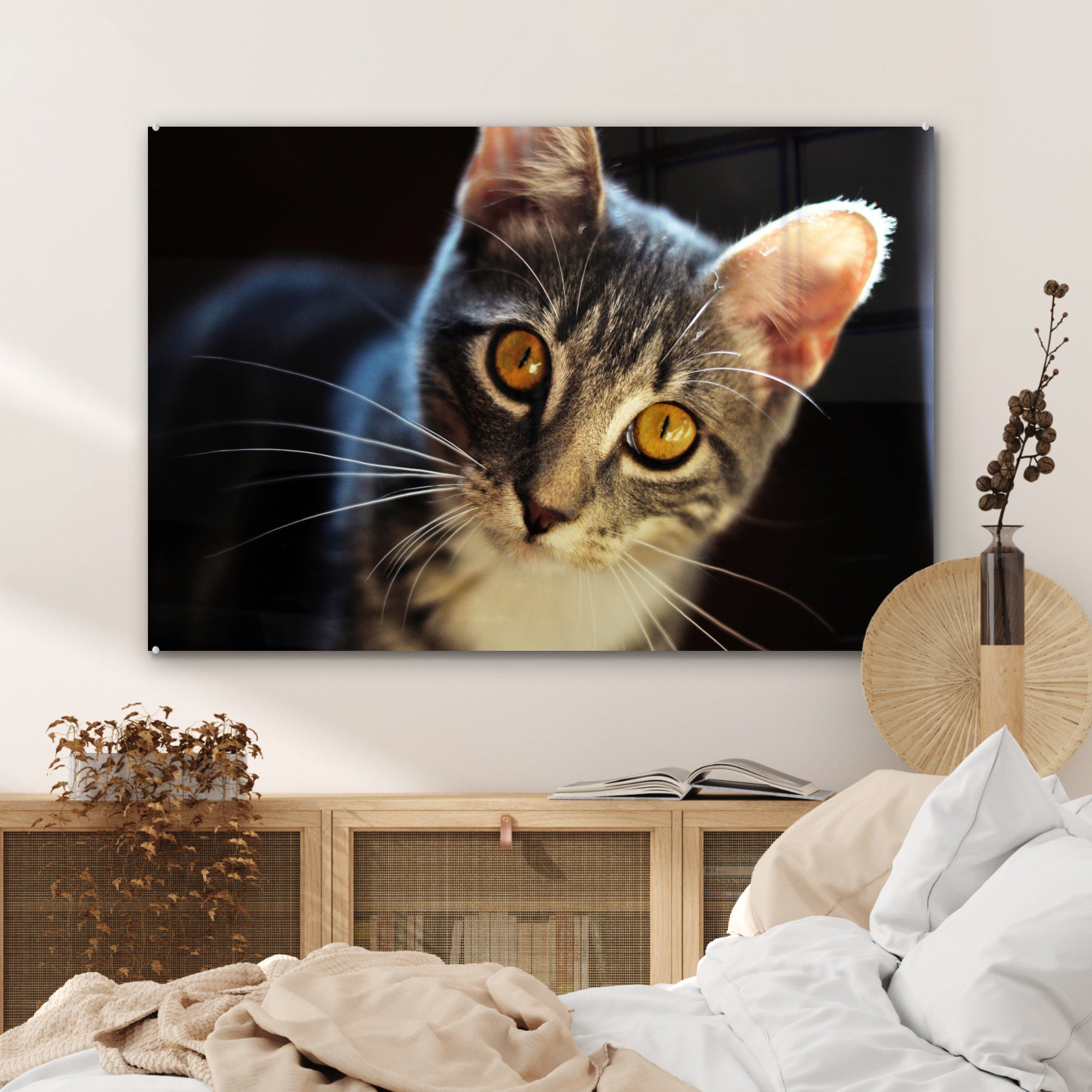 Acrylglasbilder & Tiere - Augen MuchoWow - Schlafzimmer St), (1 Wohnzimmer Grau, - Katzen Acrylglasbild