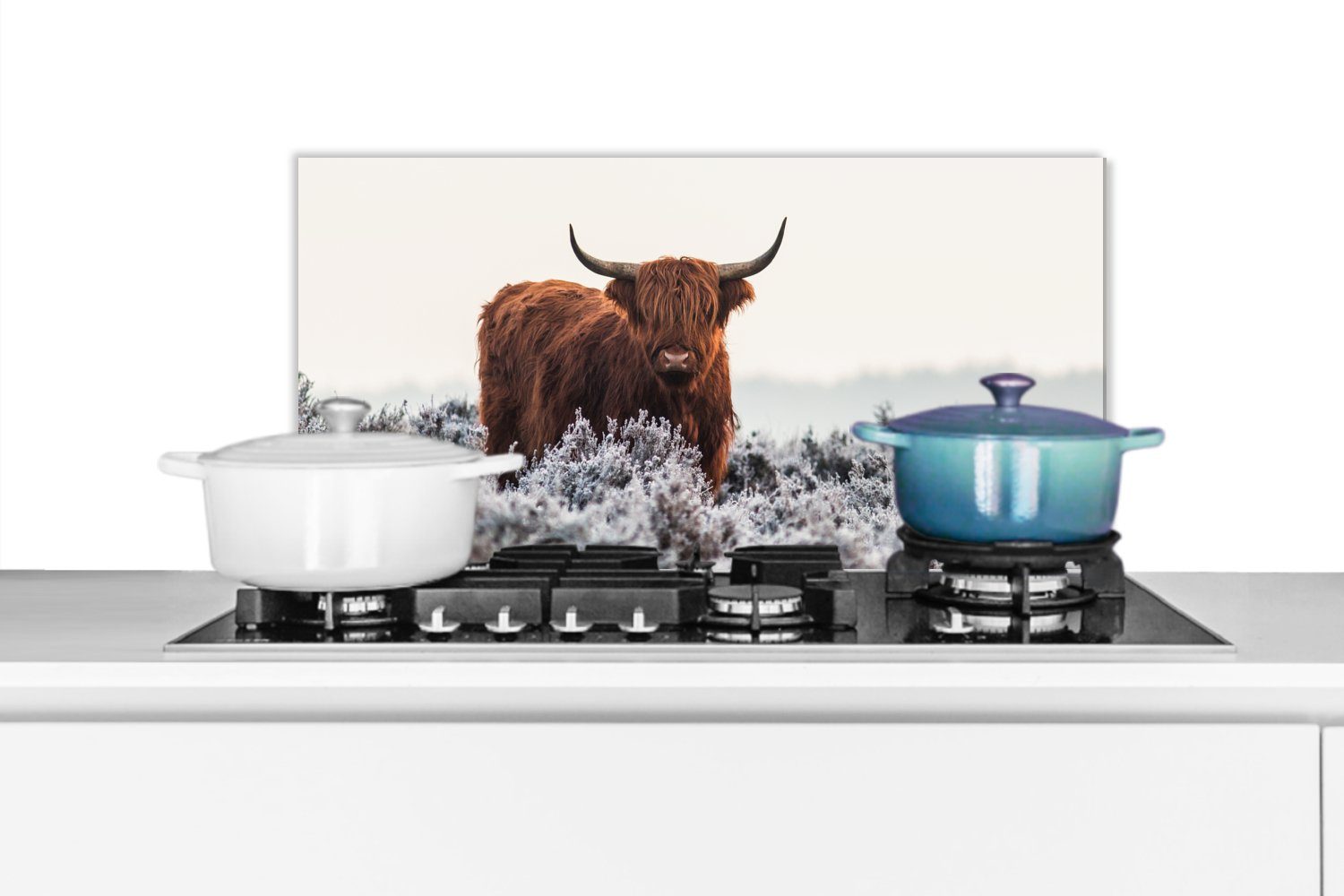 MuchoWow Küchenrückwand Schottischer Hochländer - Tier - Natur - Weiß, (1-tlg), 60x30 cm, Wandschutz, gegen Fett und Schmutzflecken für Küchen