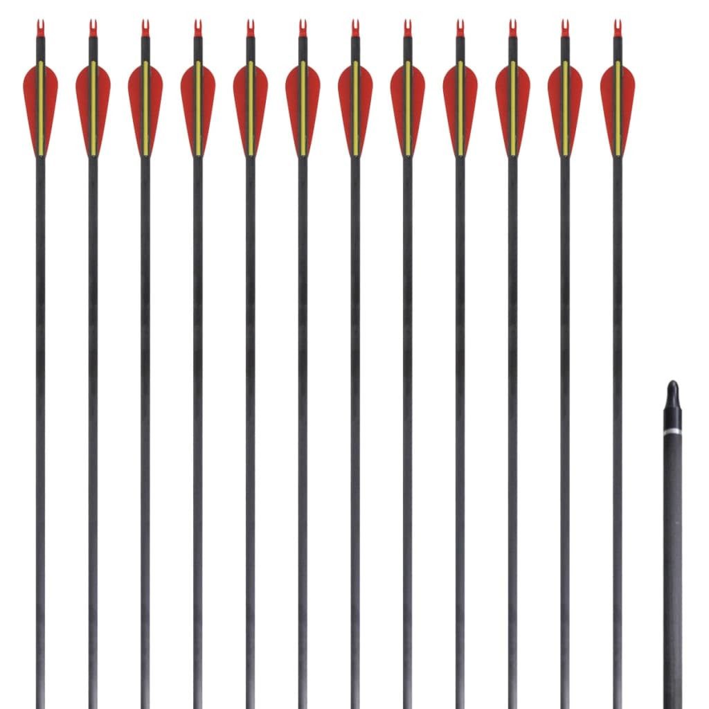 vidaXL Recurvebogen, Recurvebogen-Pfeile 30" 0,76 cm Carbon 12 Stk.