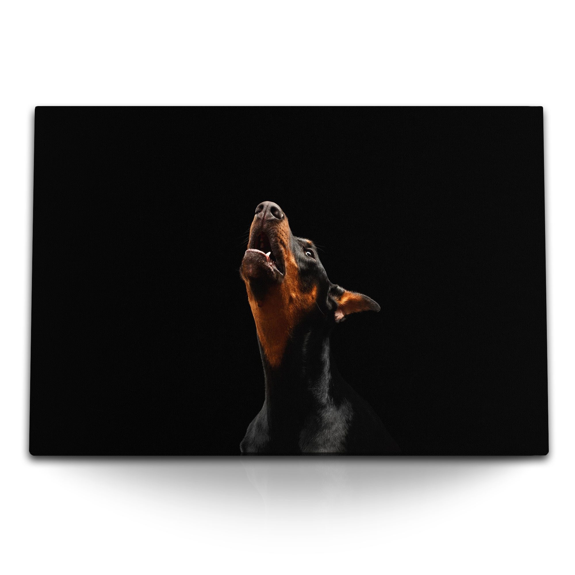Leinwandbild 120x80cm Wandbild auf Leinwand Dobermann Hund Schwarz Tierfotografie