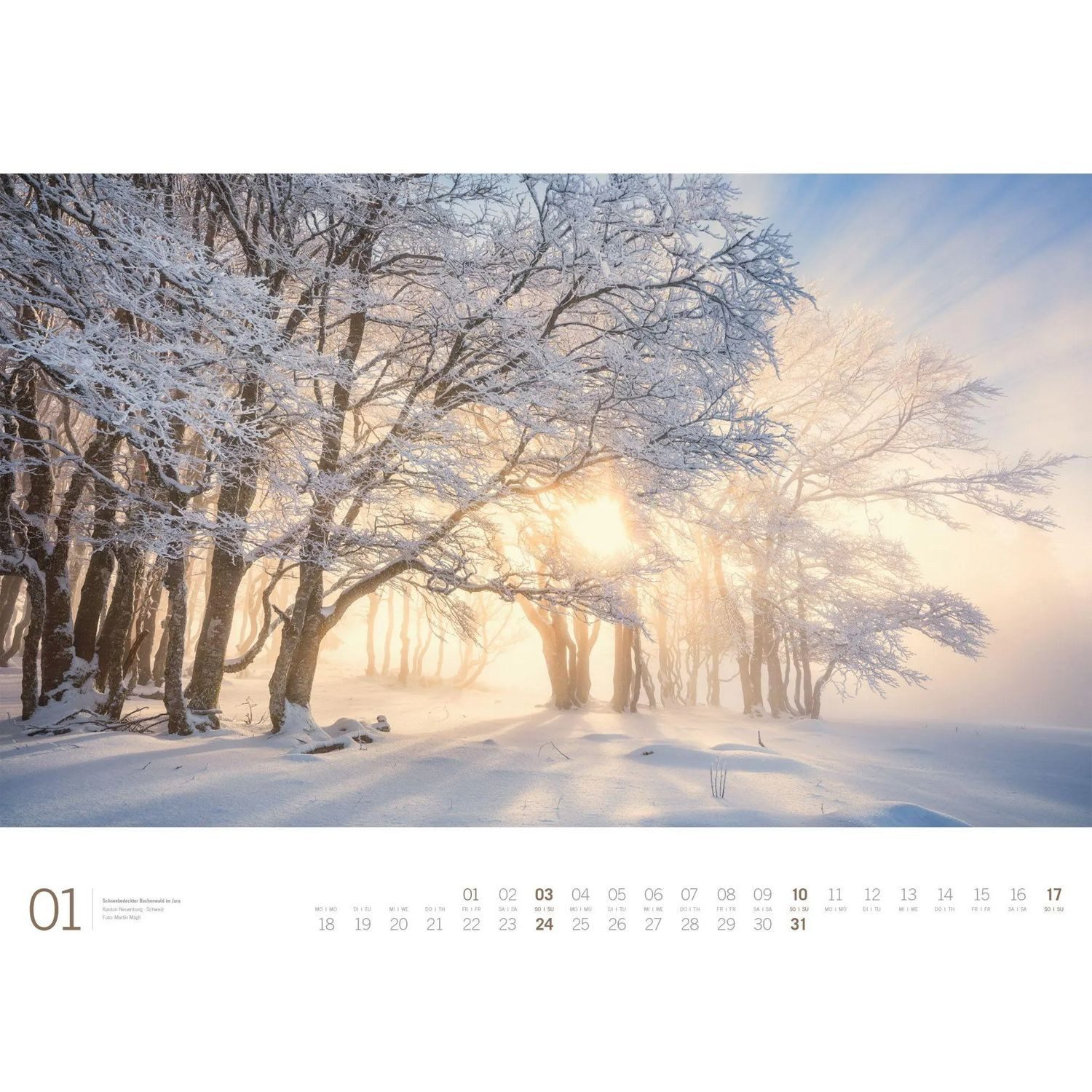 Ackermann Wandkalender Wald Gallery Kalender 2027