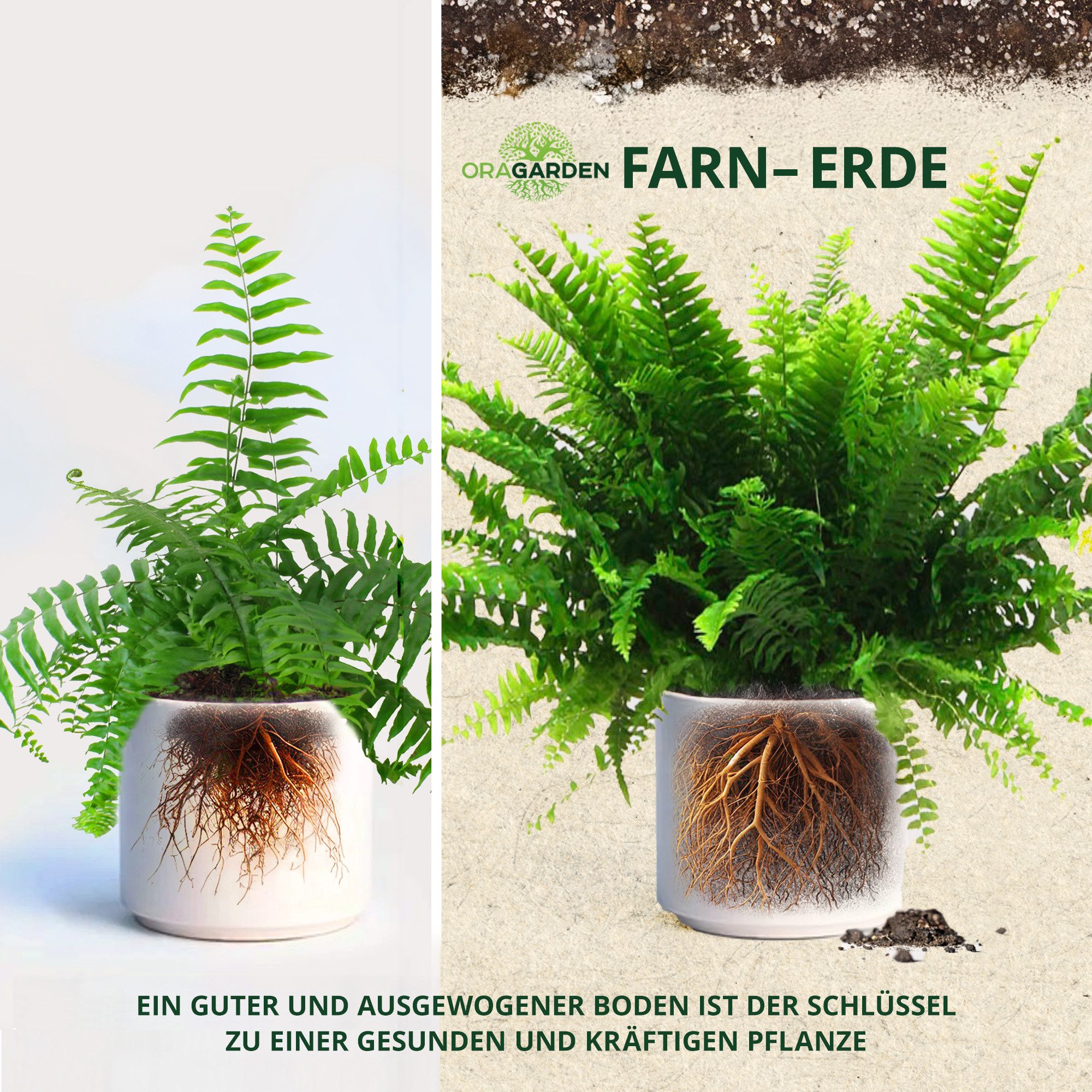OraGarden Gartenbau-Substrat Farn Erde, mit Wurmhumus – Bild 3 von 5