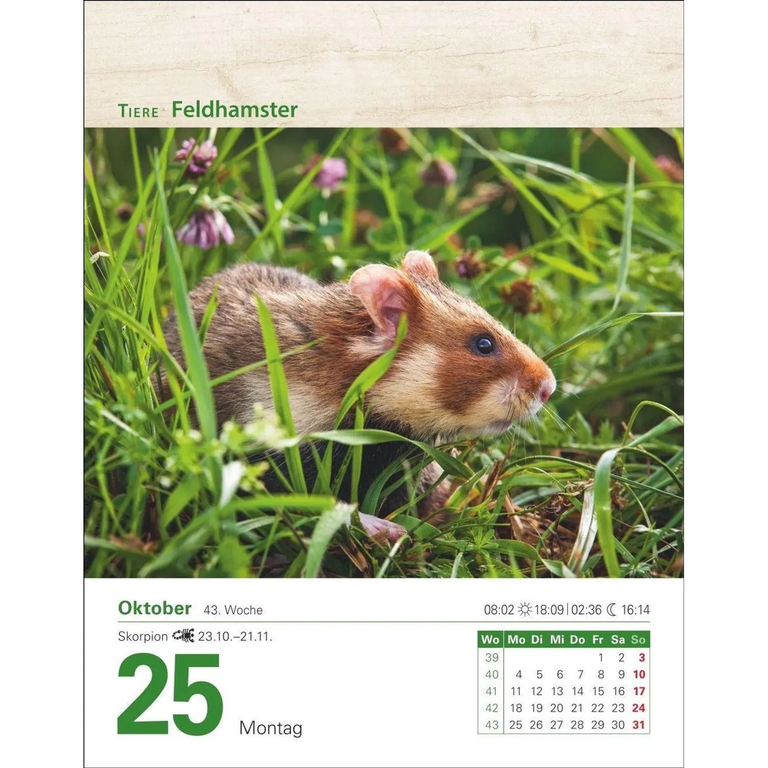 Harenberg Kalender Verlag Abreißkalender Mein Garten Tagesabreißkalender 2027 - Praktische Tipps für 2027