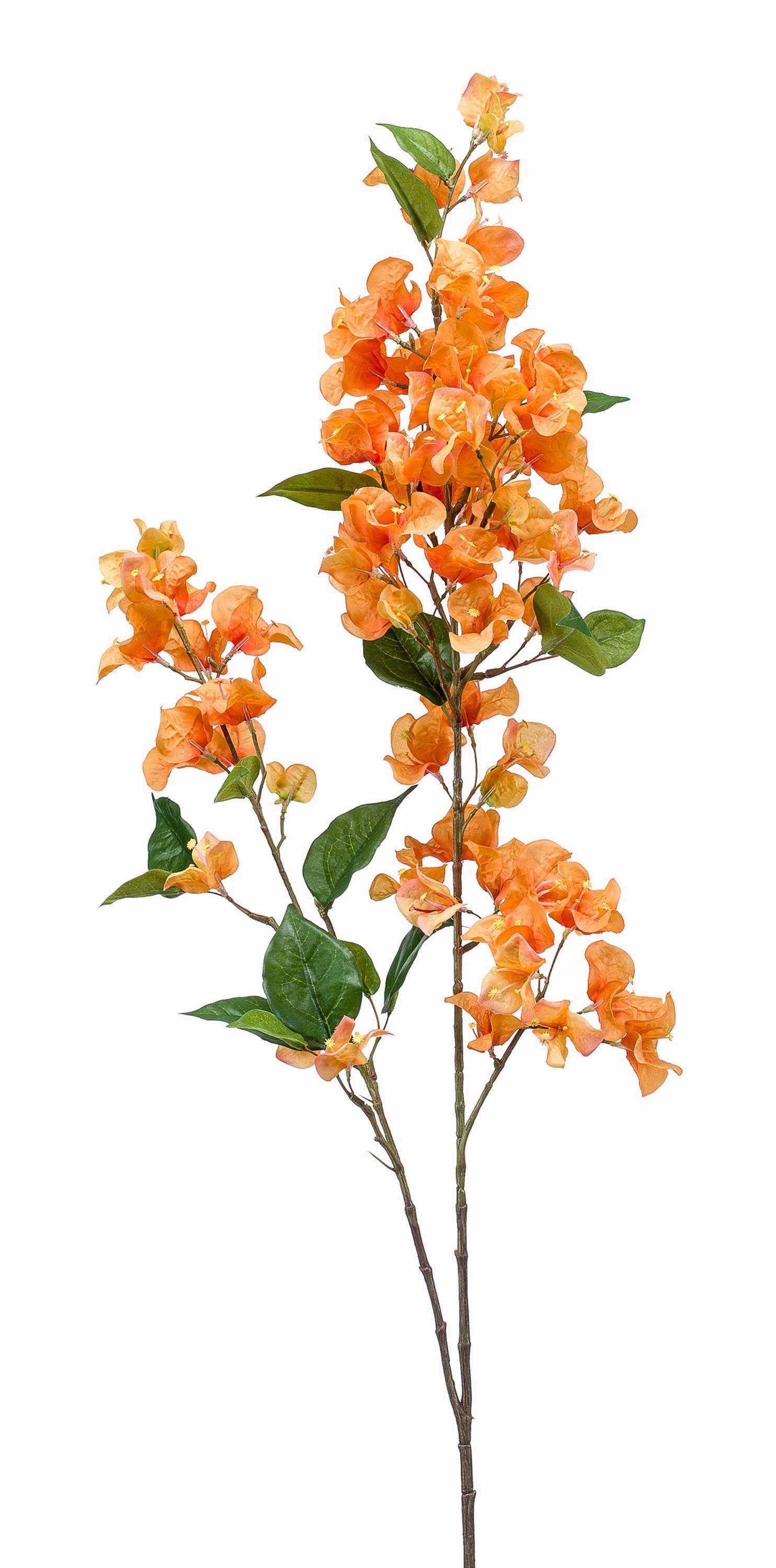 Kunstzweig Dekozweig Bougainvillea MONELS mit Blüten, orange, 115cm Bougainvillea, artplants, Höhe 115.0 cm