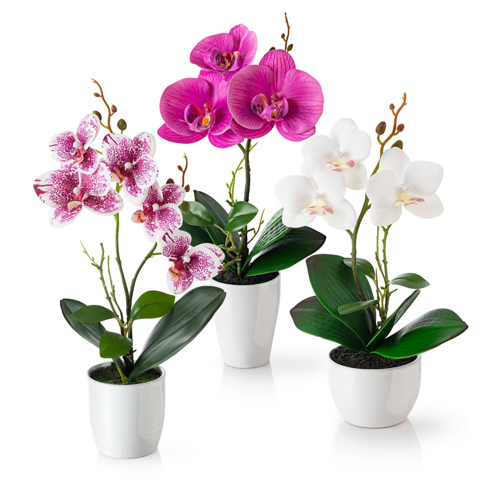 Kunstorchidee 3er Set künstliche Orchideen wie echt (35cm) in Hochglanz-Keramiktopf Orchidee, PASCH
