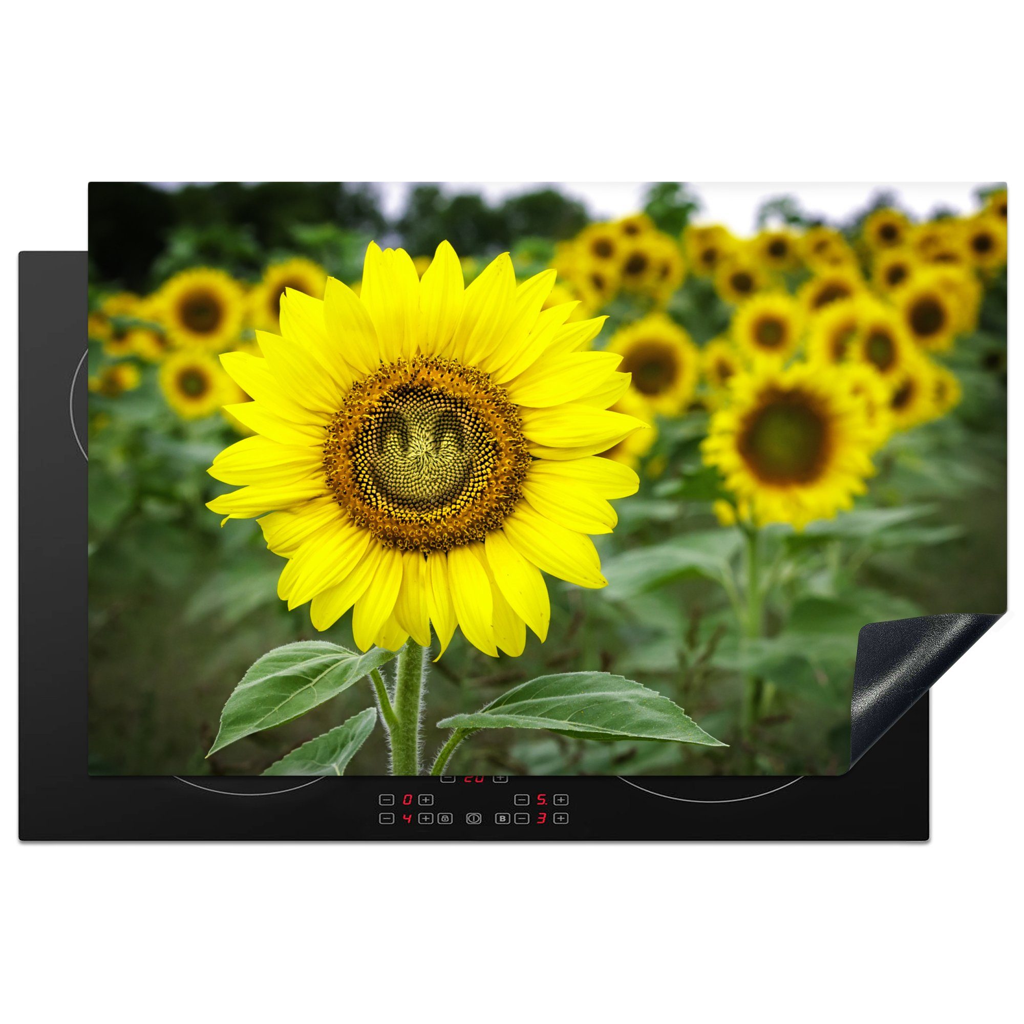 MuchoWow Herdblende-/Abdeckplatte Blumen - Sonnenblume - Blatt, Vinyl, (1 tlg), 81x52 cm, Induktionskochfeld Schutz für die küche, Ceranfeldabdeckung