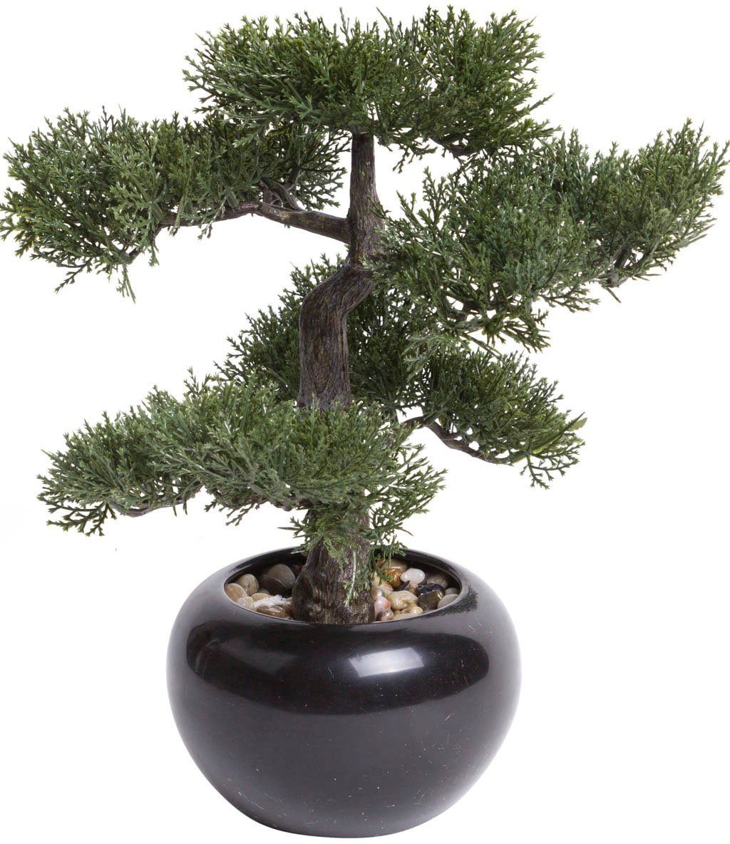 Kunstbonsai Ceder Bonsai Ceder, Botanic-Haus, Höhe 34 cm