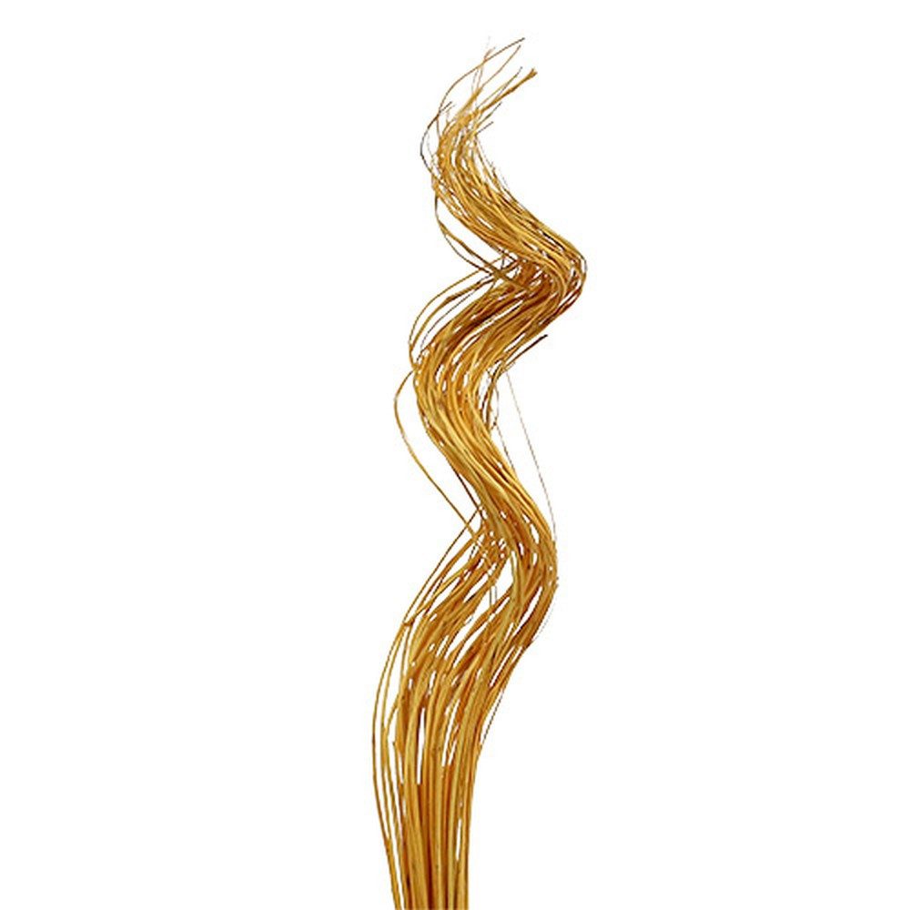 Trockenblume Ting Ting Curly 60cm goldgelb günstig online kaufen