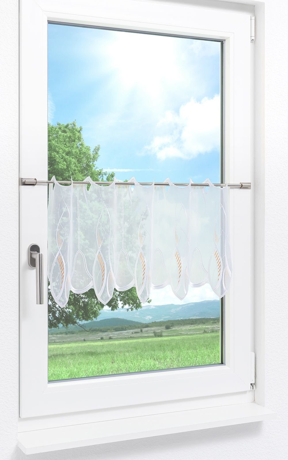Plauener Spitze® Scheibengardine Melanie (1 St), transparent, HxB 35x48.6cm günstig online kaufen
