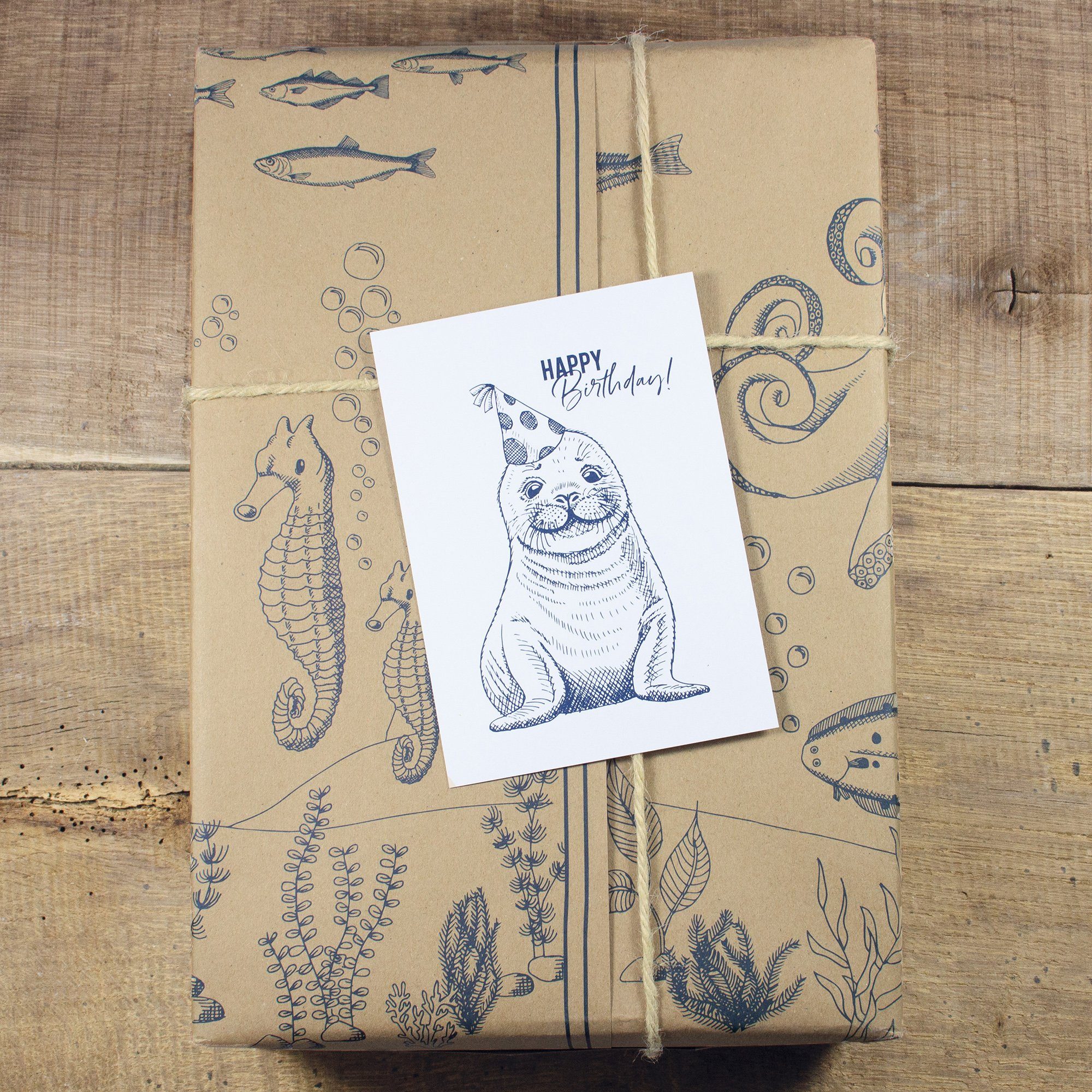 Bow & Hummingbird Postkarte Postkarte Happy Birthday Seehund