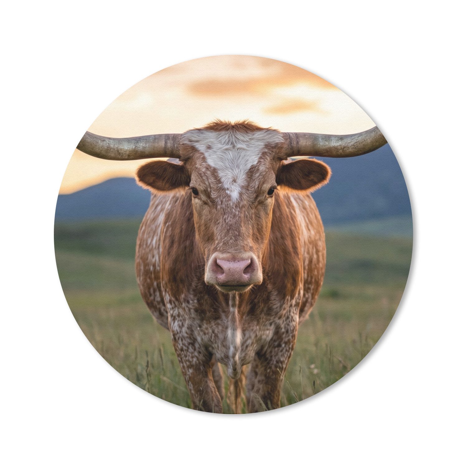 MuchoWow Mauspad Longhorn - Landschaft - Sonnenuntergang (1-St), Gaming, Rutschfester Unterseite, Mausunterlage, Rund 50x50 cm