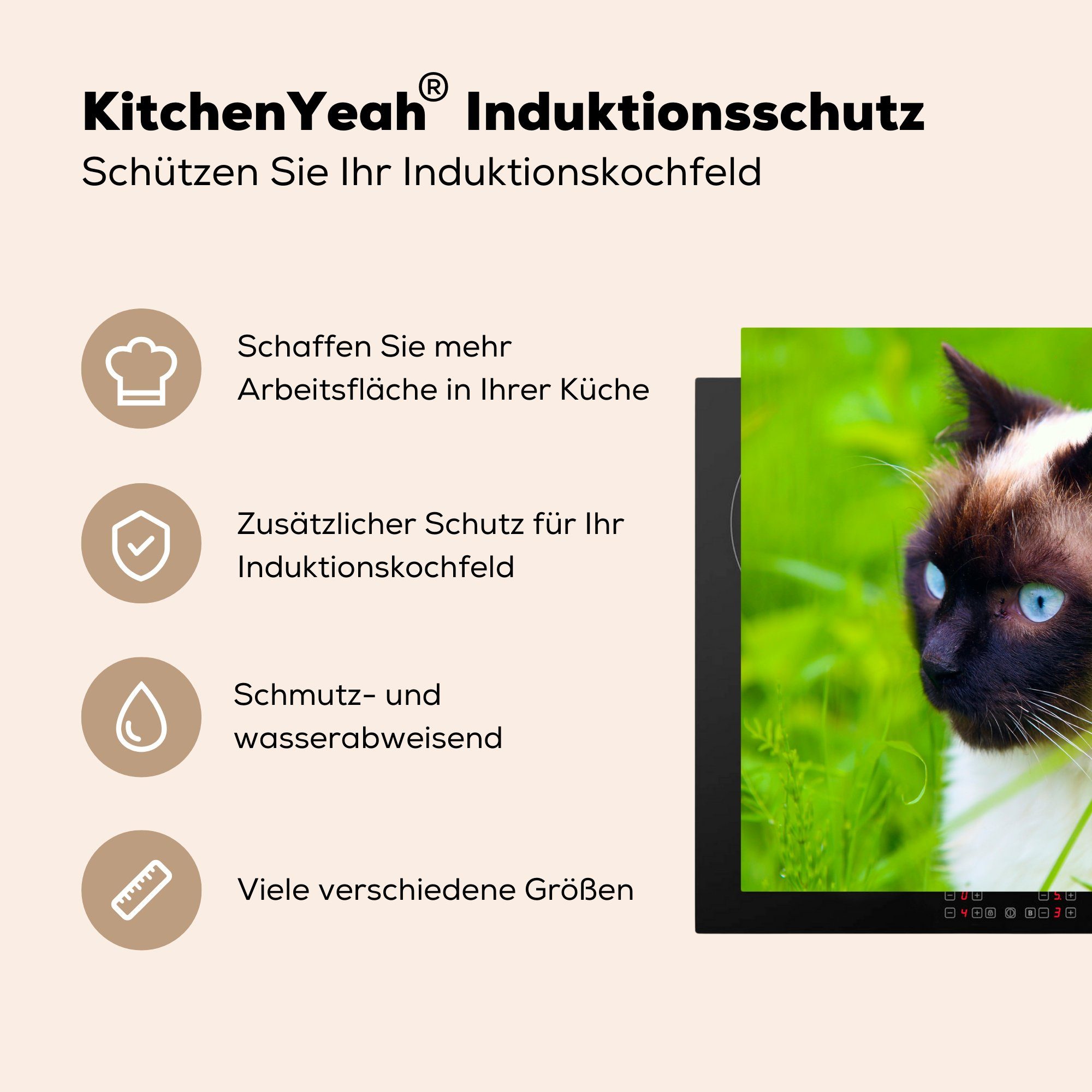 Vinyl, Arbeitsfläche 70x52 nutzbar, (1 cm, Gras, im tlg), Herdblende-/Abdeckplatte Ceranfeldabdeckung Mobile Katze MuchoWow Siamesische