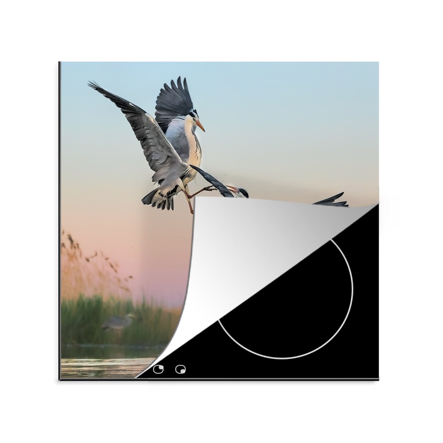 MuchoWow Herdblende-/Abdeckplatte Vögel - Kämpfen - Spielen, Vinyl, (1 tlg), 78x78 cm, Ceranfeldabdeckung, Arbeitsplatte für küche