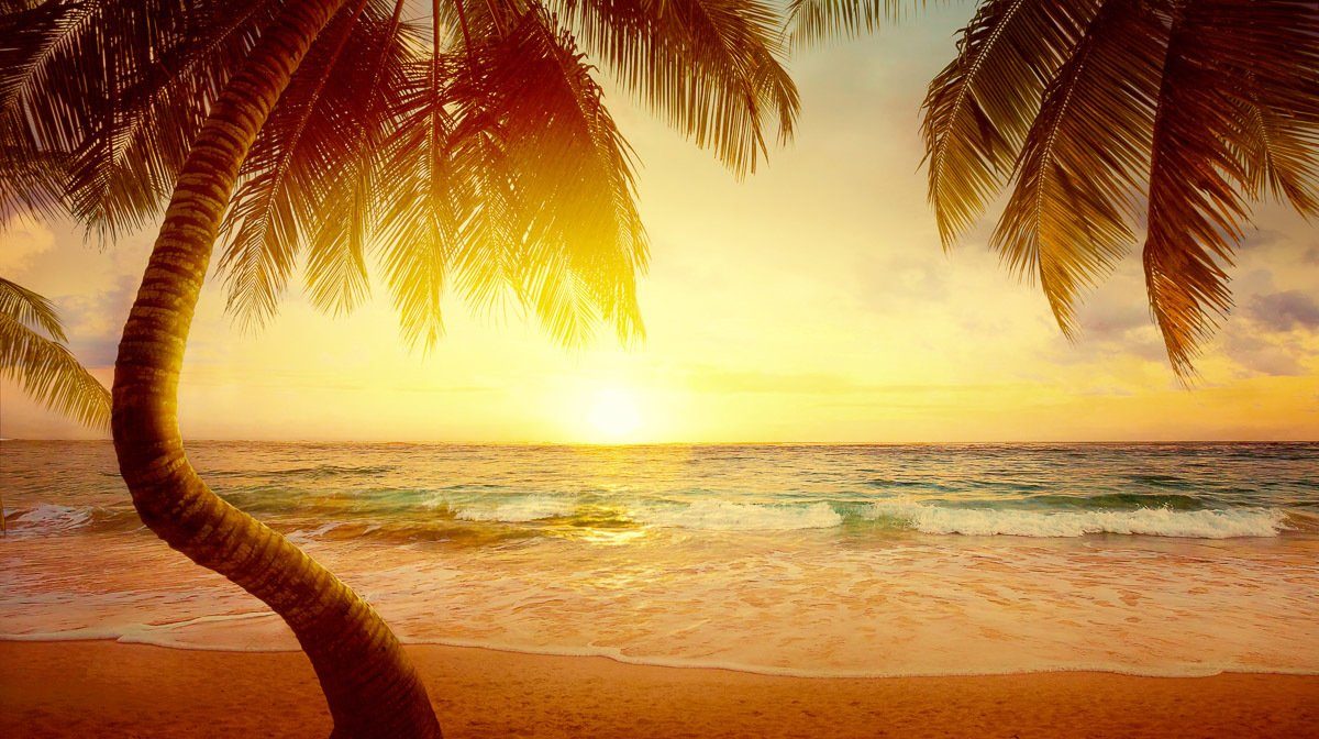 Papermoon Fototapete Tropischer Strand Sonnenaufgang