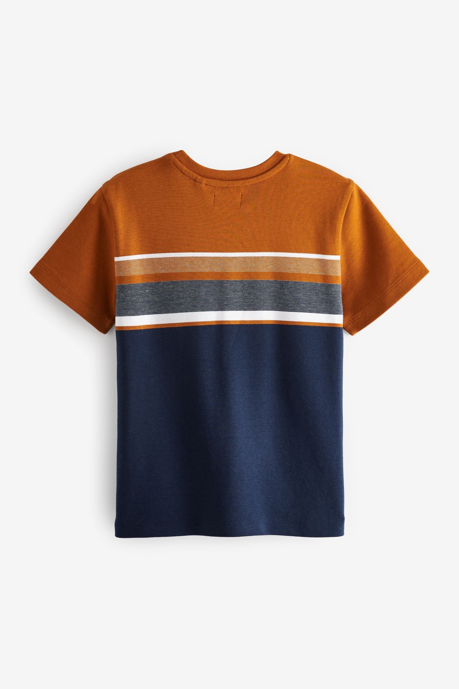 Next T-Shirt Blockfarben Blue T-Shirt Brown/Navy in Tan (1-tlg)