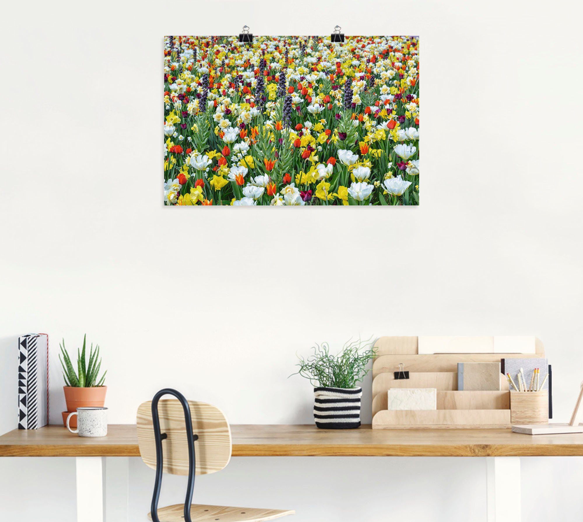 als versch. Alubild, oder Feld verschiedenen (1 Leinwandbild, Wandbild von in Poster Größen Artland Blumenwiese Wandaufkleber Frühlingsblumen, St),