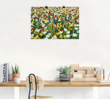 Artland Poster Feld von verschiedenen Frühlingsblumen, Blumenwiese (1 St), als Alubild, Leinwandbild, Wandaufkleber oder Poster in versch. Größen
