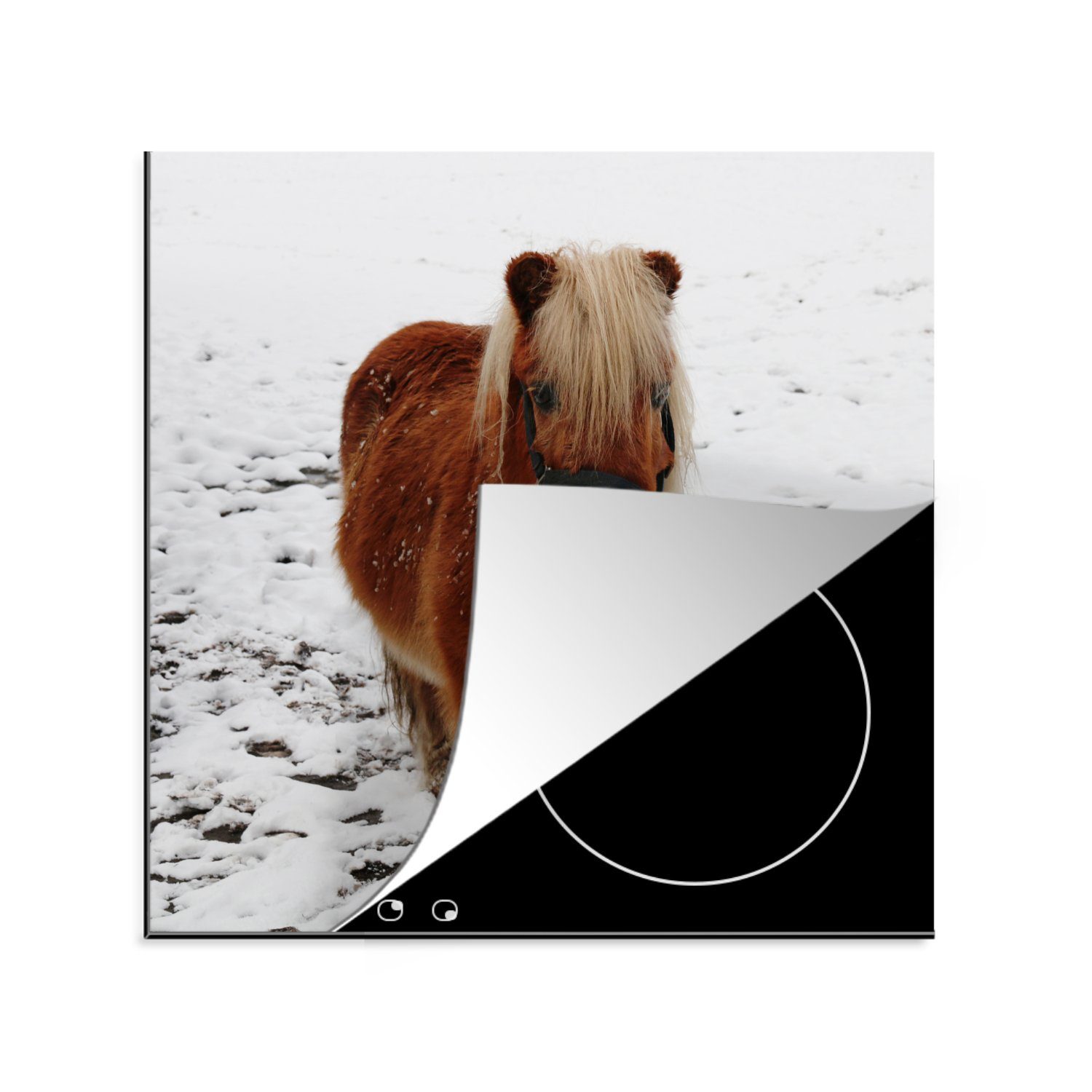 MuchoWow Herdblende-/Abdeckplatte Pony in der Kälte, Vinyl, (1 tlg), 78x78 cm, Ceranfeldabdeckung, Arbeitsplatte für küche