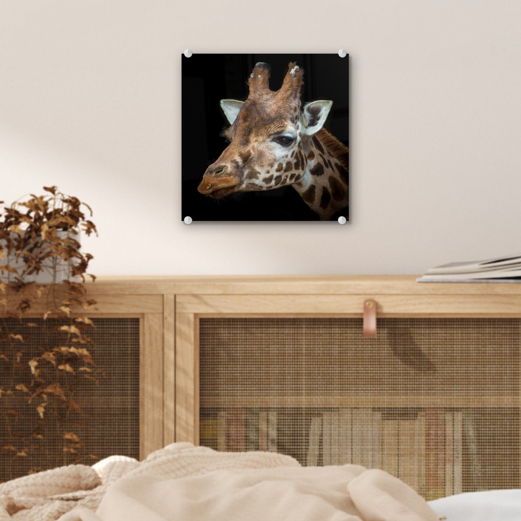 St), Acrylglasbild Wandbild - schwarzem Porträt MuchoWow auf auf einer Wanddekoration - Bilder (1 Glasbilder Glas Glas Giraffe auf Hintergrund, - Foto