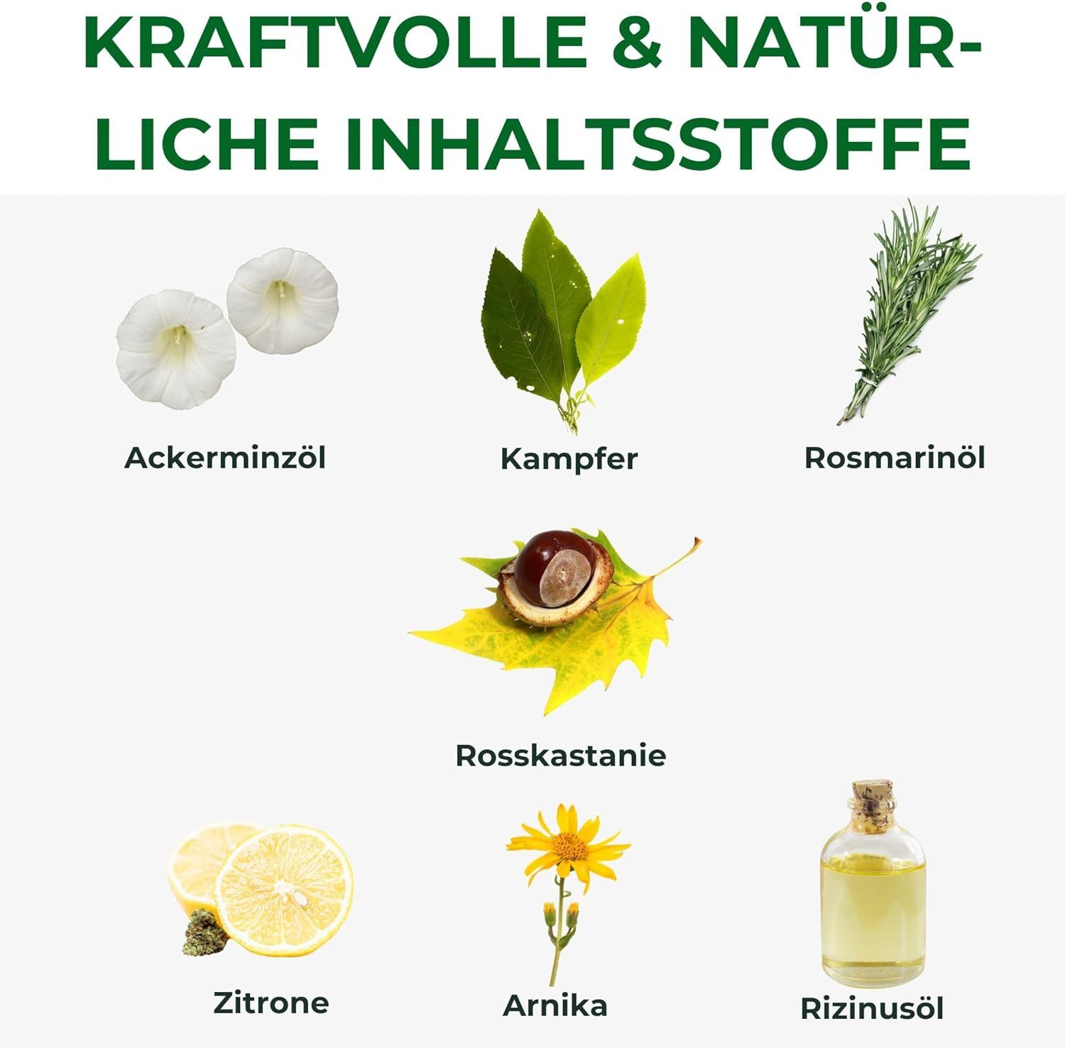 Kräuterhof Körpercreme Kräuterhof Pferdebalsam DUO (2x500ml)