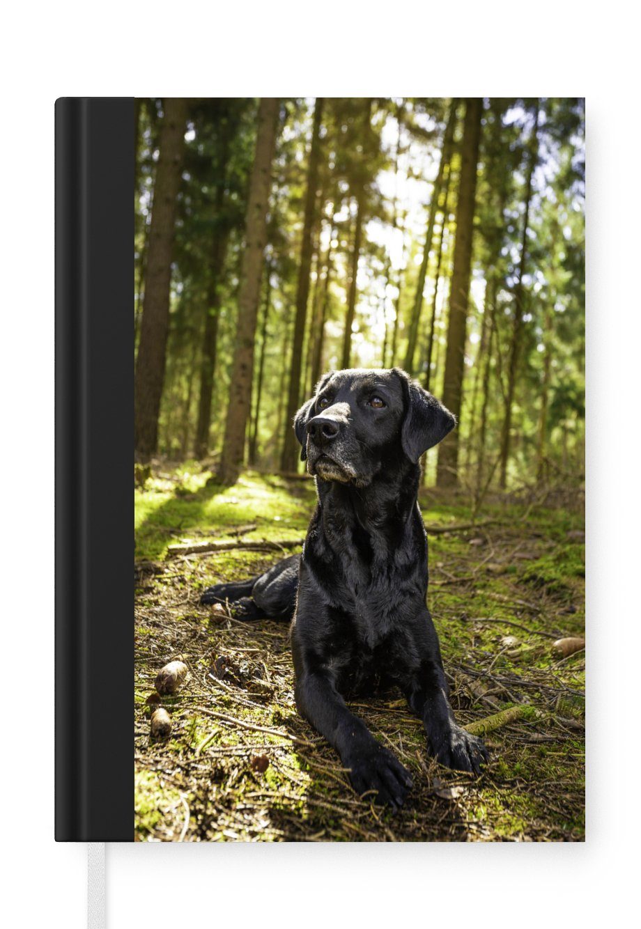 MuchoWow Notizbuch Sonnenstrahlen entlang eines Labrador Retrievers im Wald, Journal, Merkzettel, Tagebuch, Notizheft, A5, 98 Seiten, Haushaltsbuch