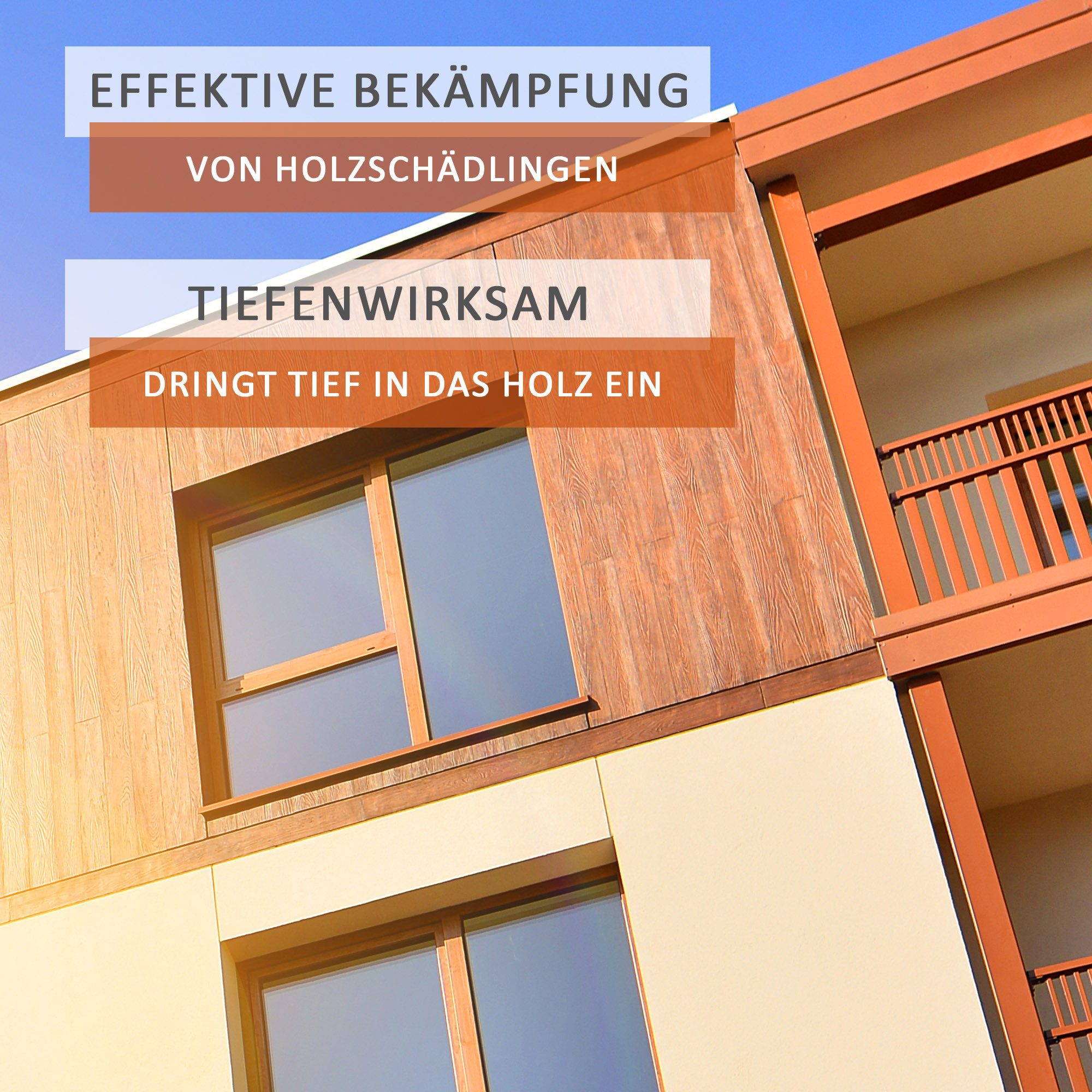 BEKATEQ Holzgrundierung Holzschutzmittel gegen Holzwurm, 1L reicht für ca. 5-7 m²