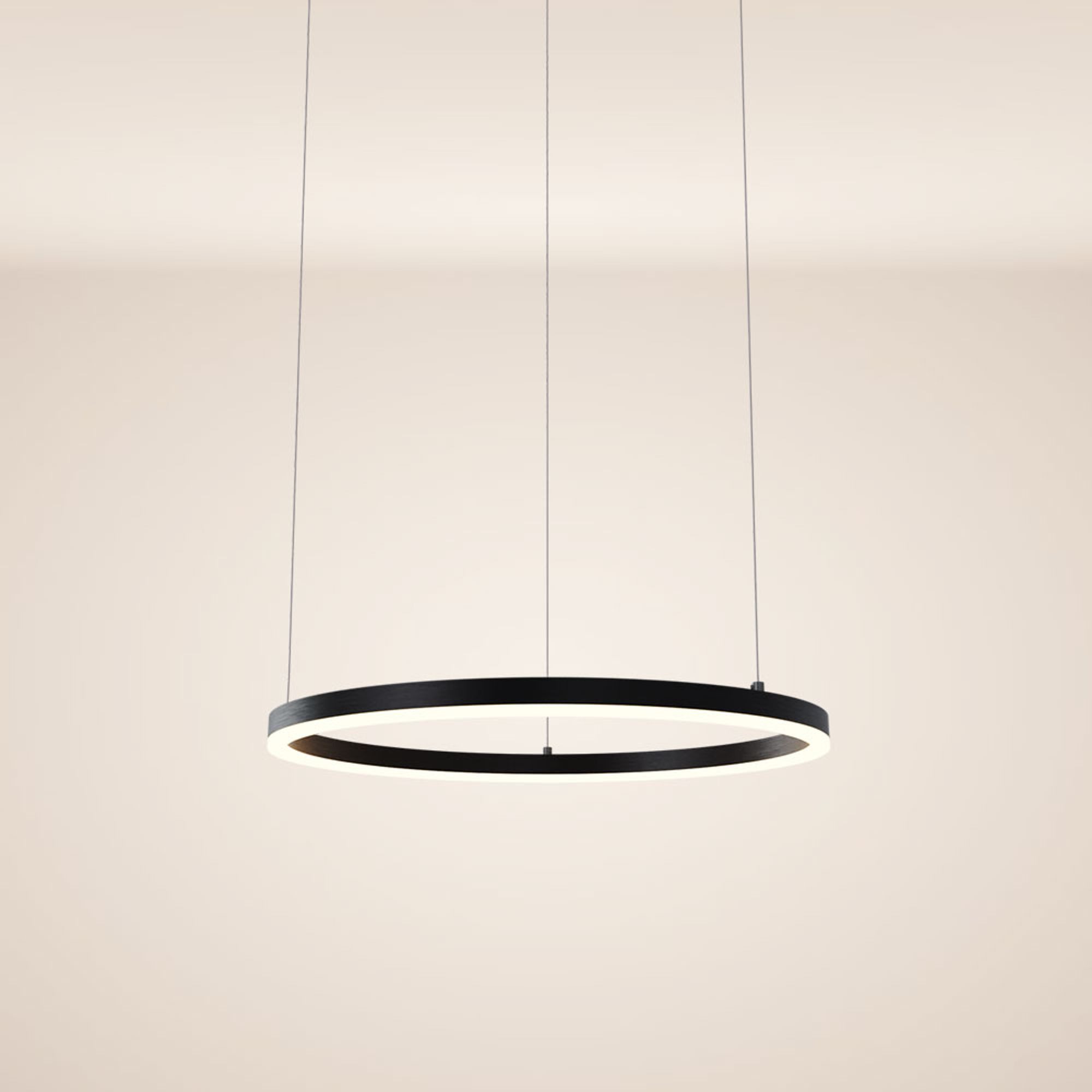 s.luce Pendelleuchte LED Pendelleuchte Ring 60 direkt oder indirekt 5m Abhängung Schwarz, Warmweiß