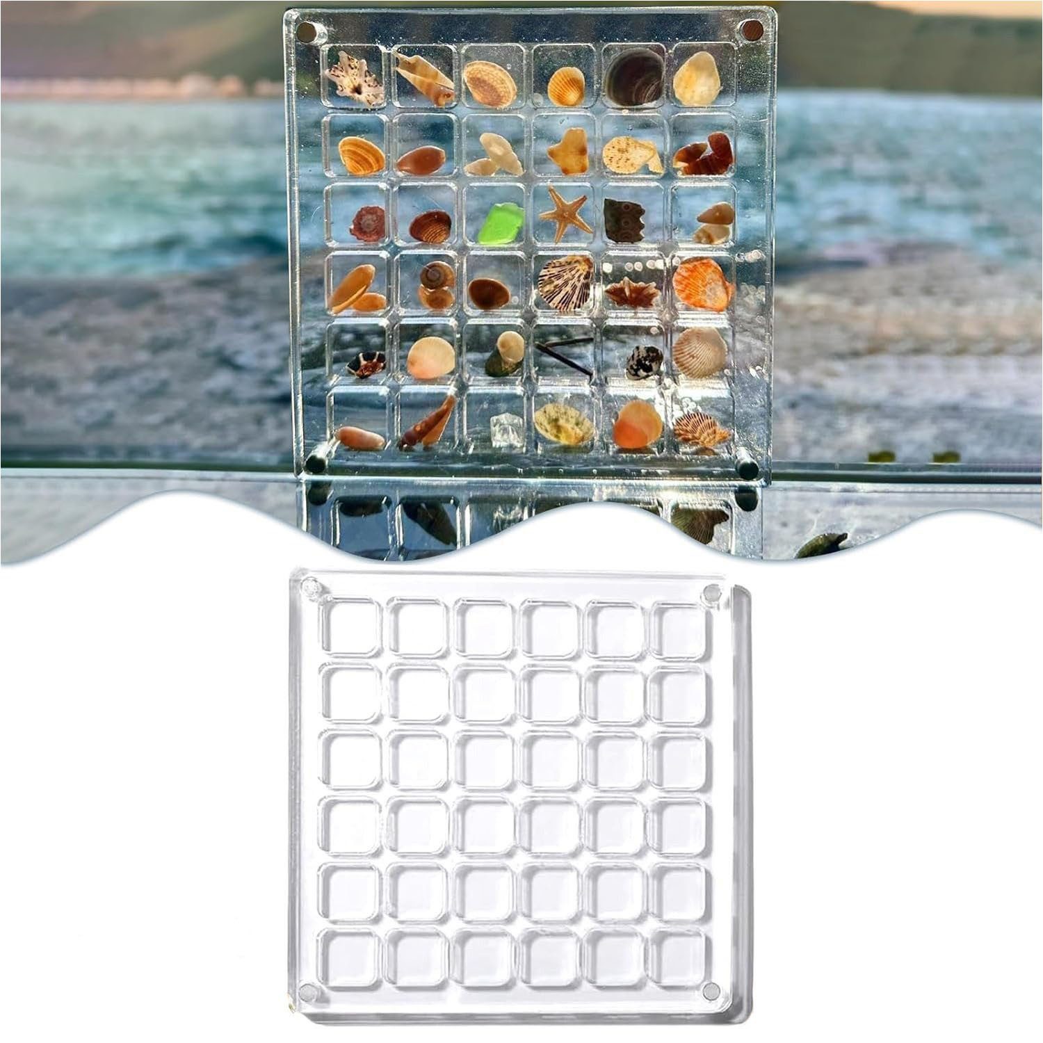 Aufbewahrungsbox Acryl Seashell Display Box Sammelkoffer Muschel-Displaybox 12x12cm