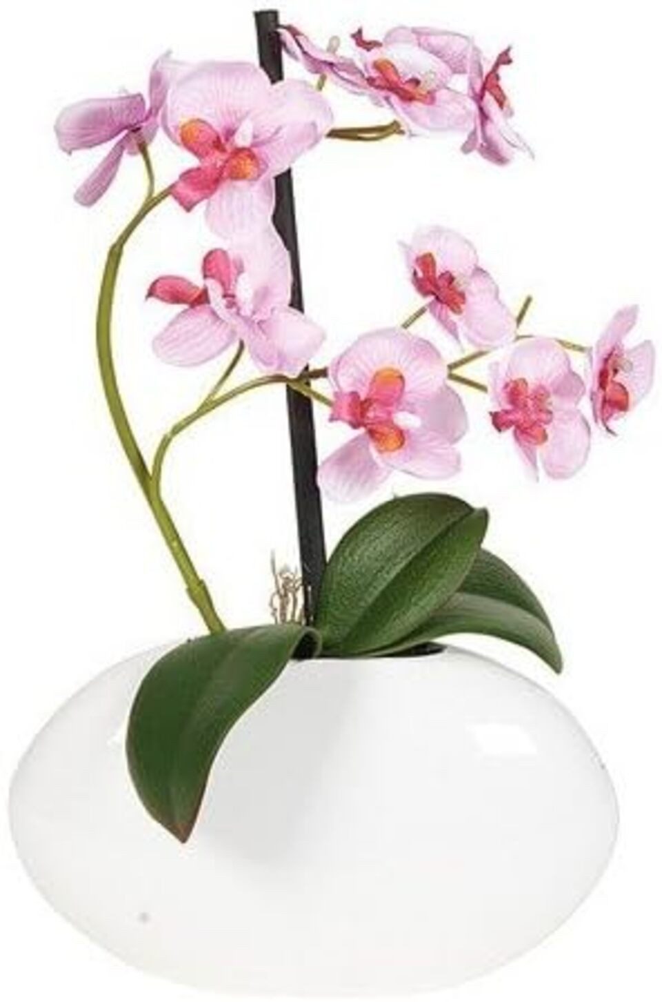 Kunstorchidee Deko Orchidee in Keramik-Vase, 29 cm, weiß/Lavendel (1 Stück) günstig online kaufen