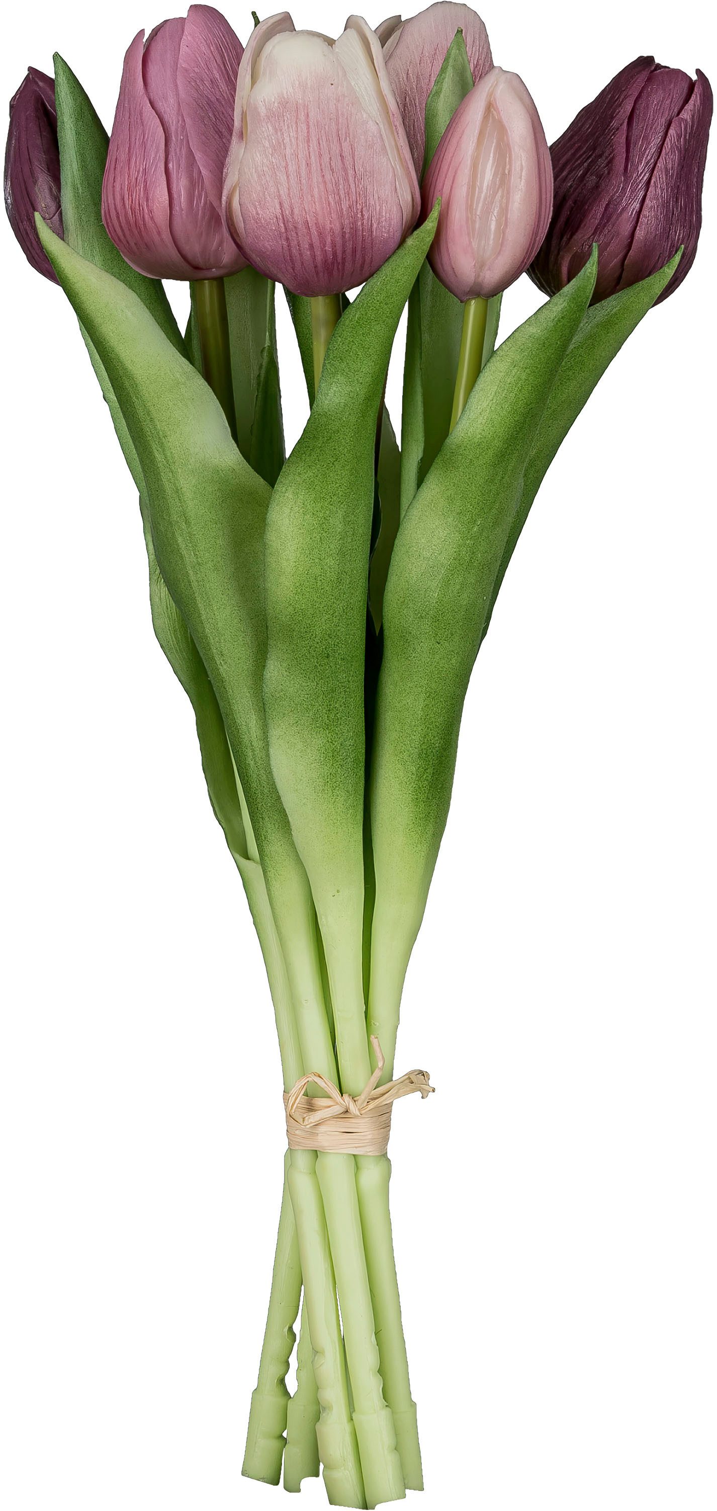 Kunsttulpe Tulpenbund, Creativ green, Höhe 32 cm, aus 6 Einzelstielen