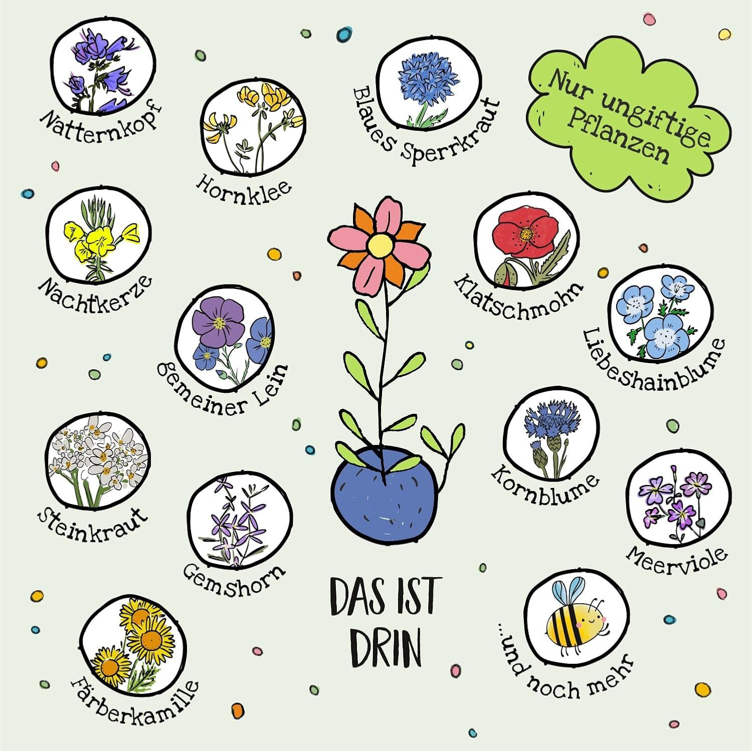 Die Stadtgärtner Spielzeug-Gartenset 10 Blumenmurmeln-Tütchen - KITA-Dankeschön, Kindergeburtstag-Mitgebsel, 10-tlg. – Bild 5 von 5